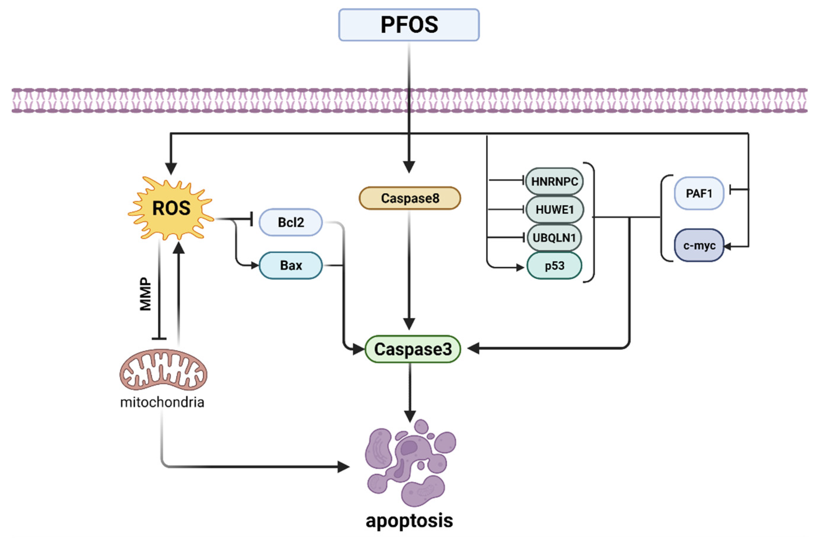 Toxics 10 00265 g005 550