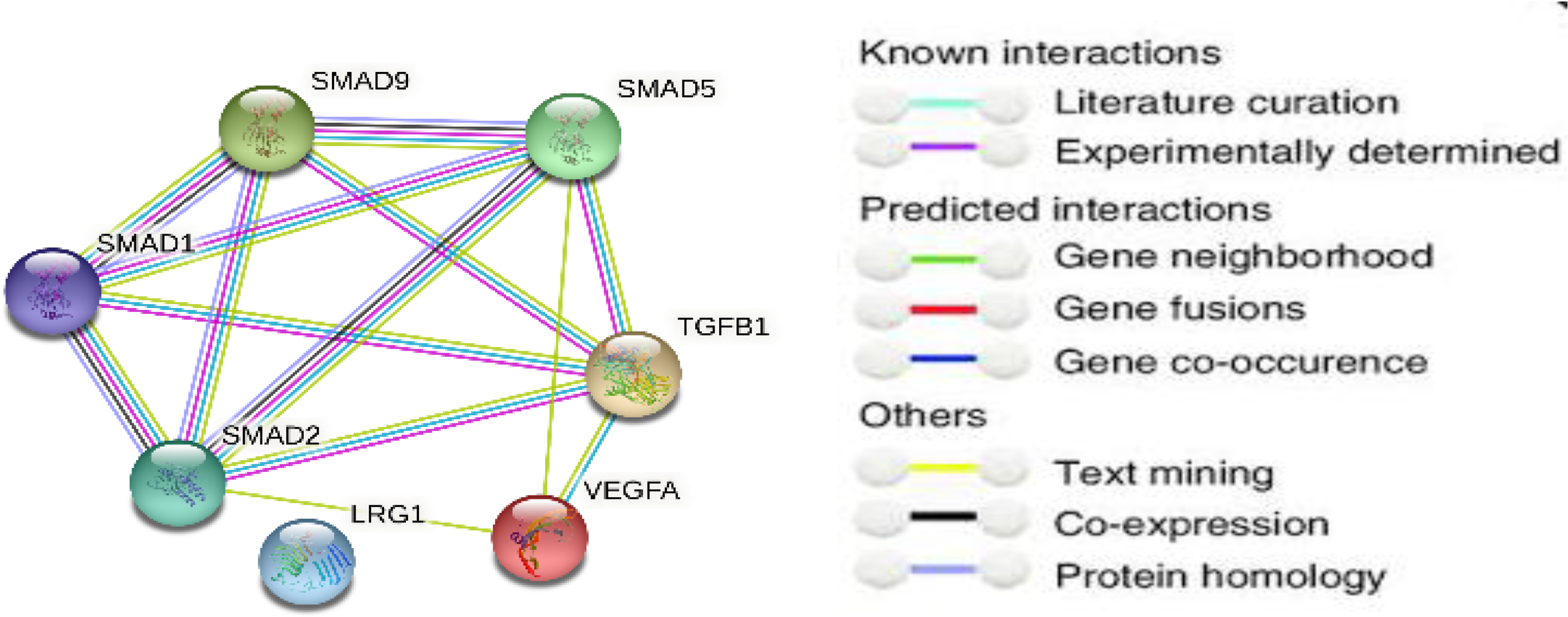 Toxics 10 00274 g001 550