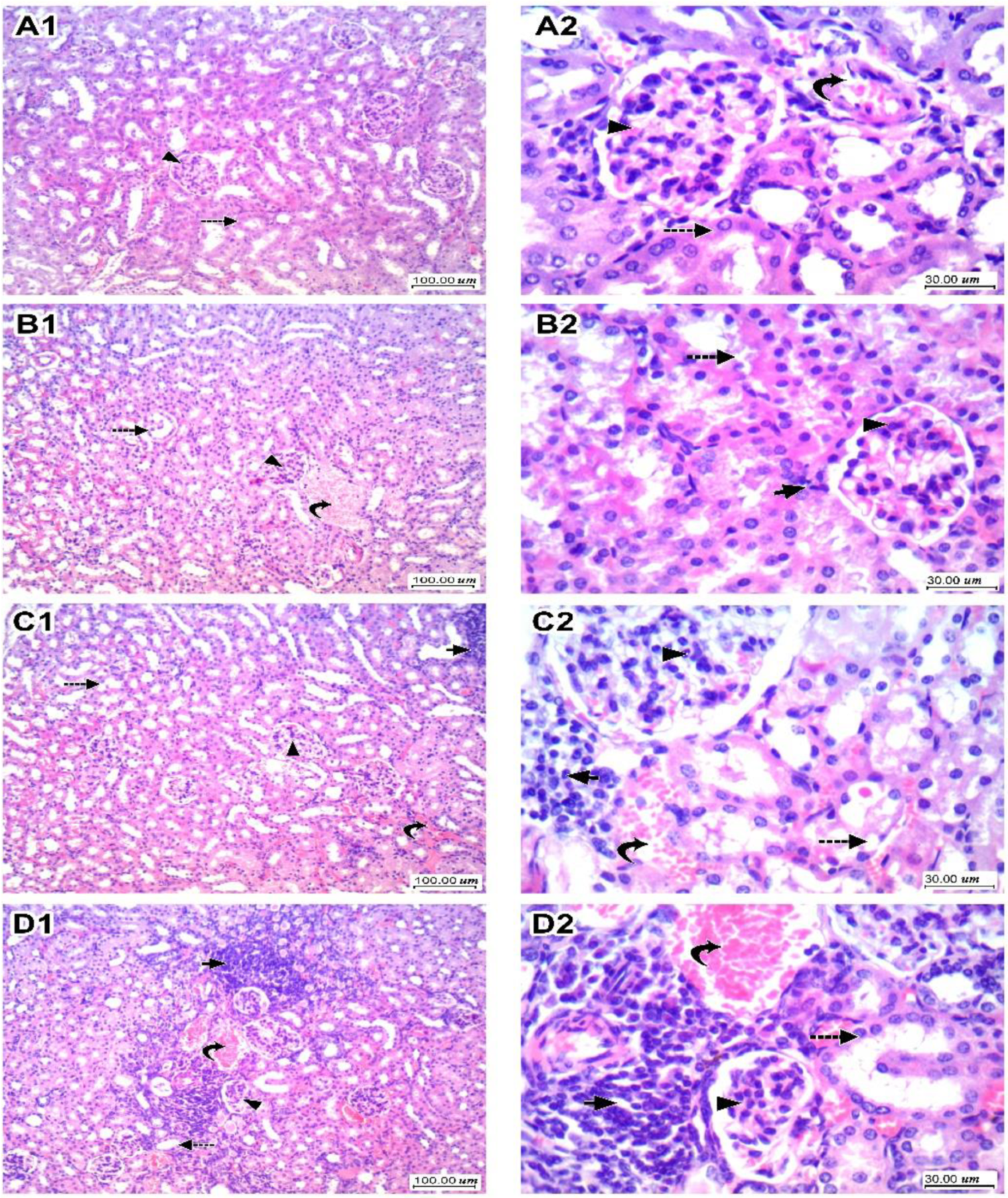 Toxics 10 00274 g004 550
