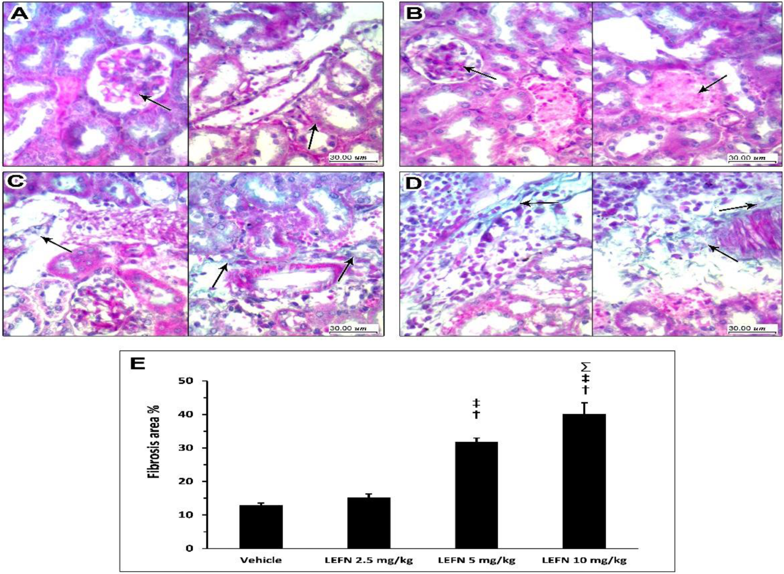Toxics 10 00274 g007 550