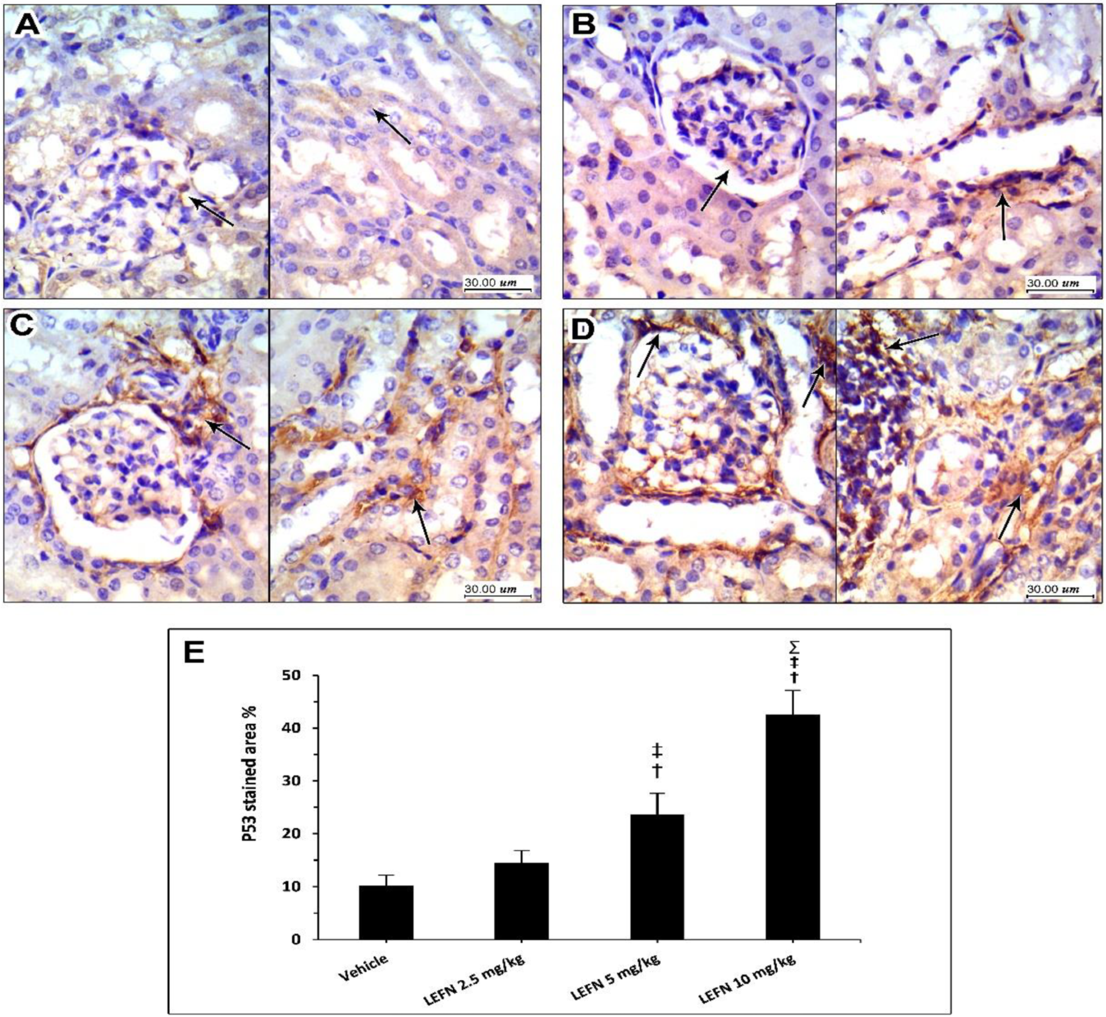 Toxics 10 00274 g009 550
