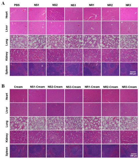 Dermal Toxicity Influence of Gold Nanomaterials after Embedment in ...