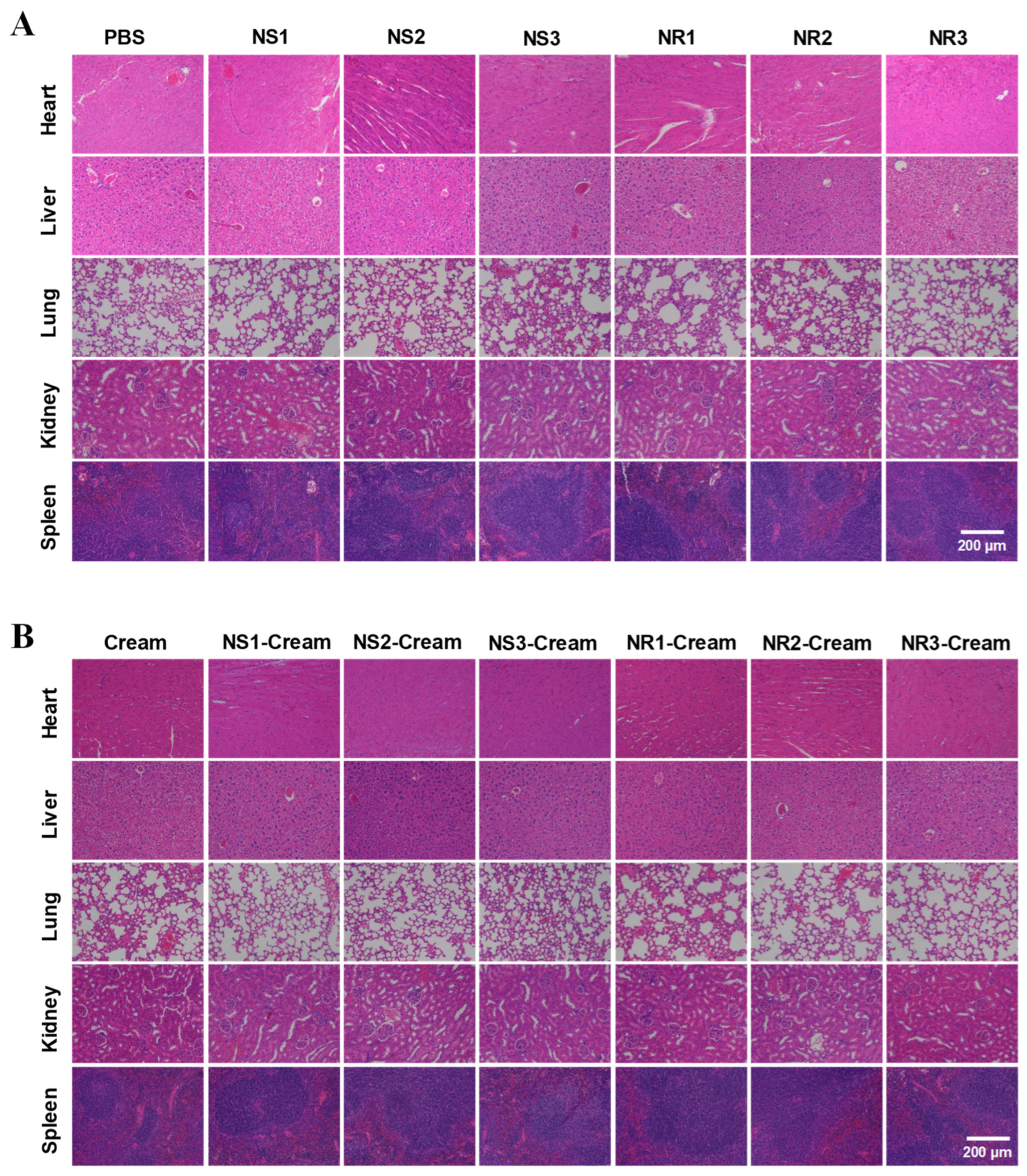 Toxics 10 00276 g007 550