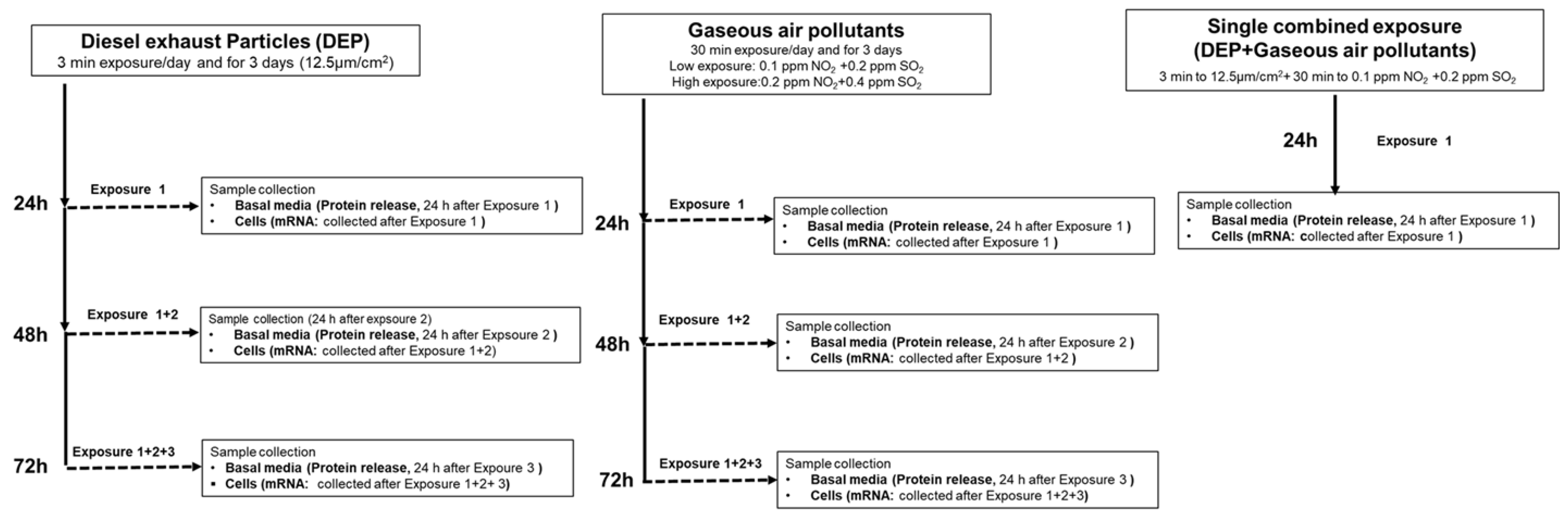 Toxics 10 00277 g001
