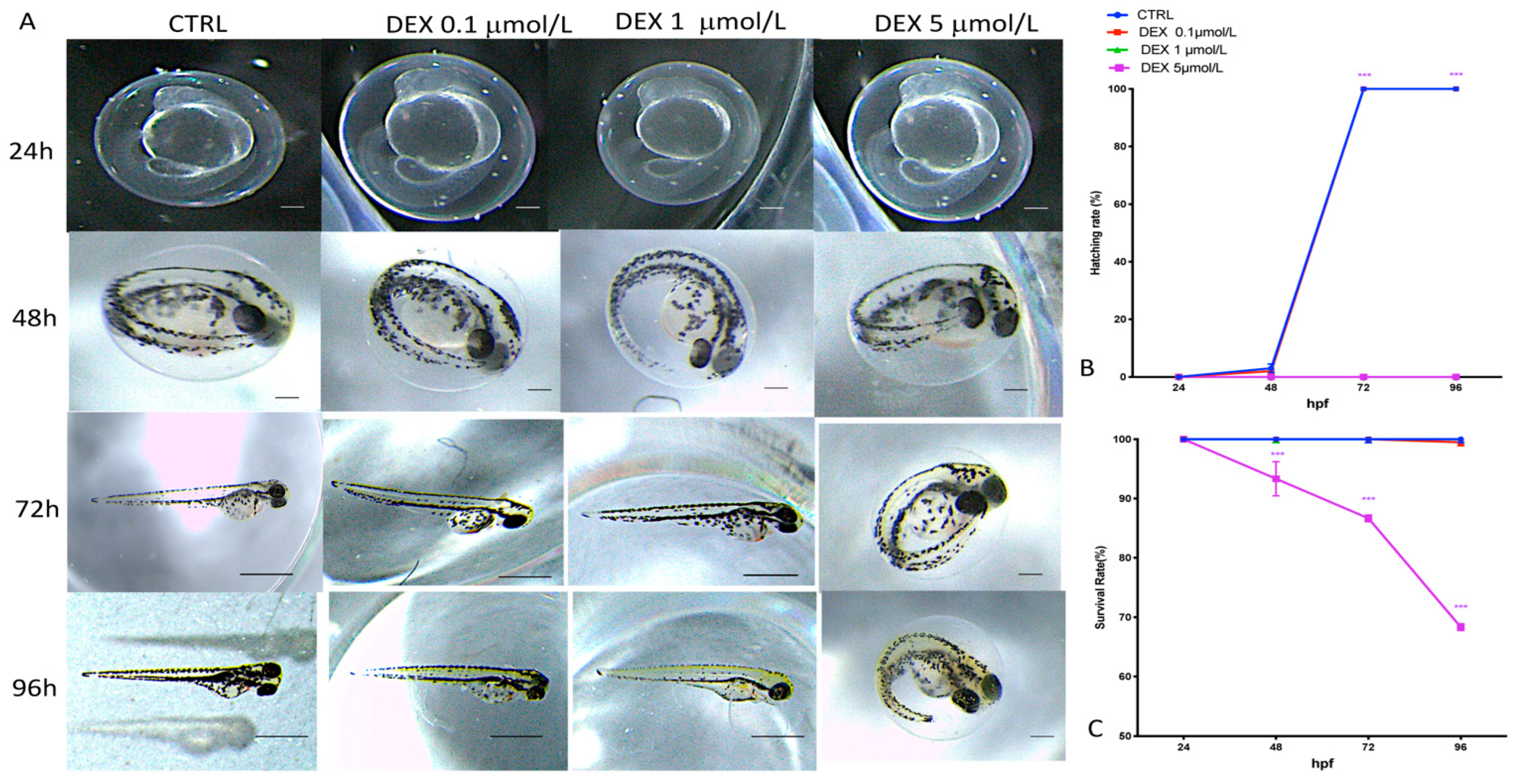Toxics 10 00279 g001
