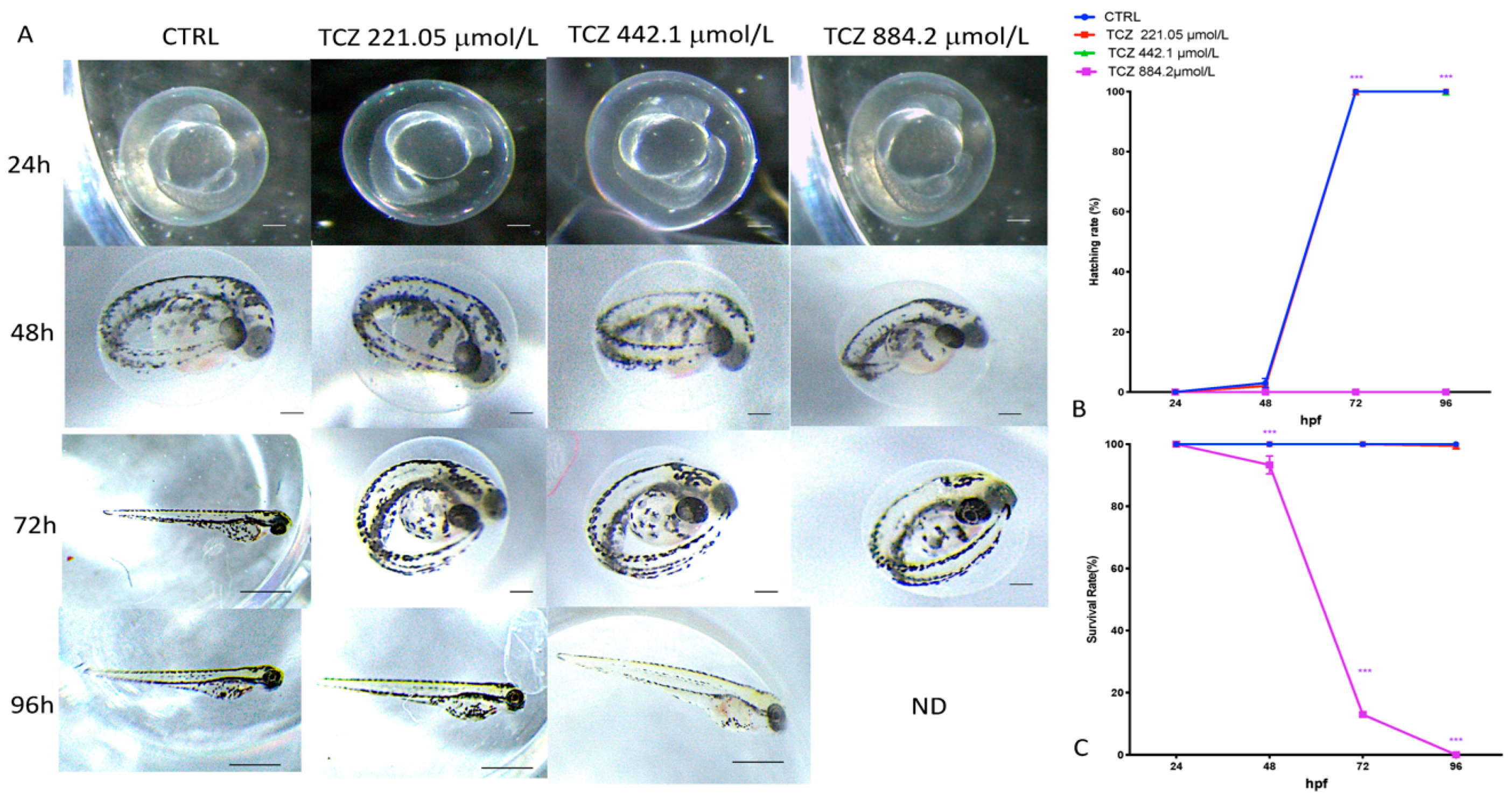 Toxics 10 00279 g002