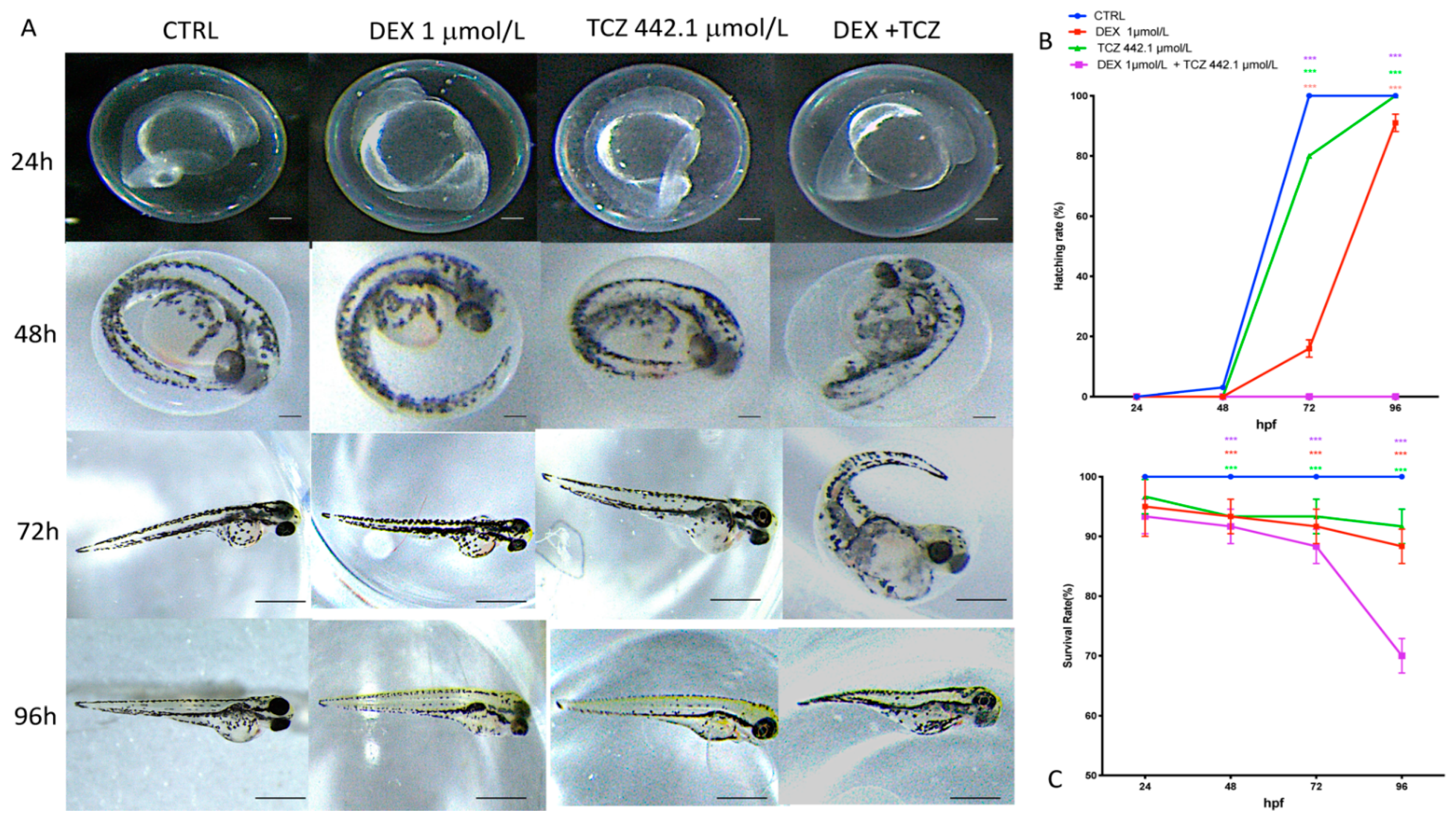 Toxics 10 00279 g003