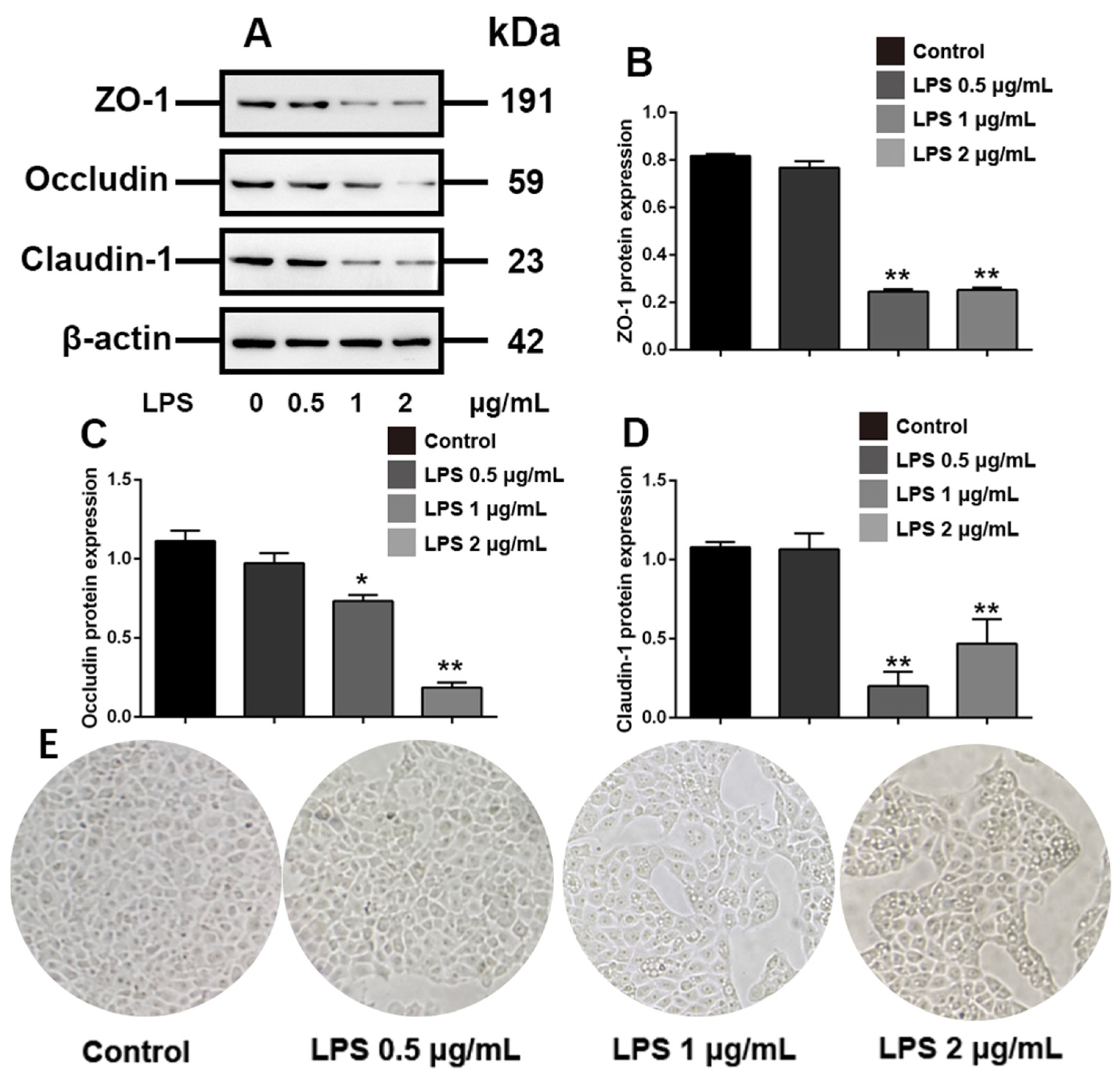 Toxics 10 00285 g001 550