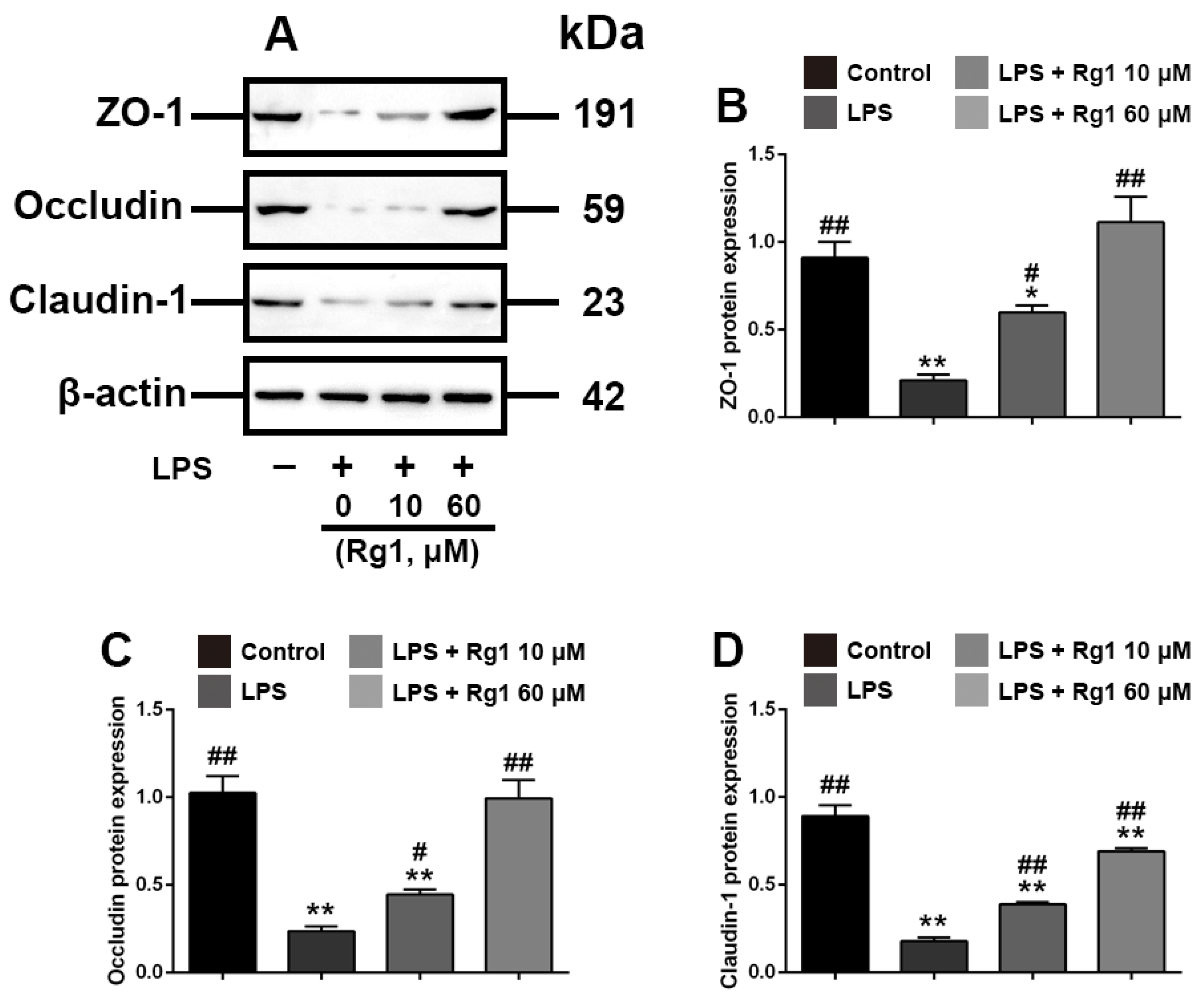 Toxics 10 00285 g002 550