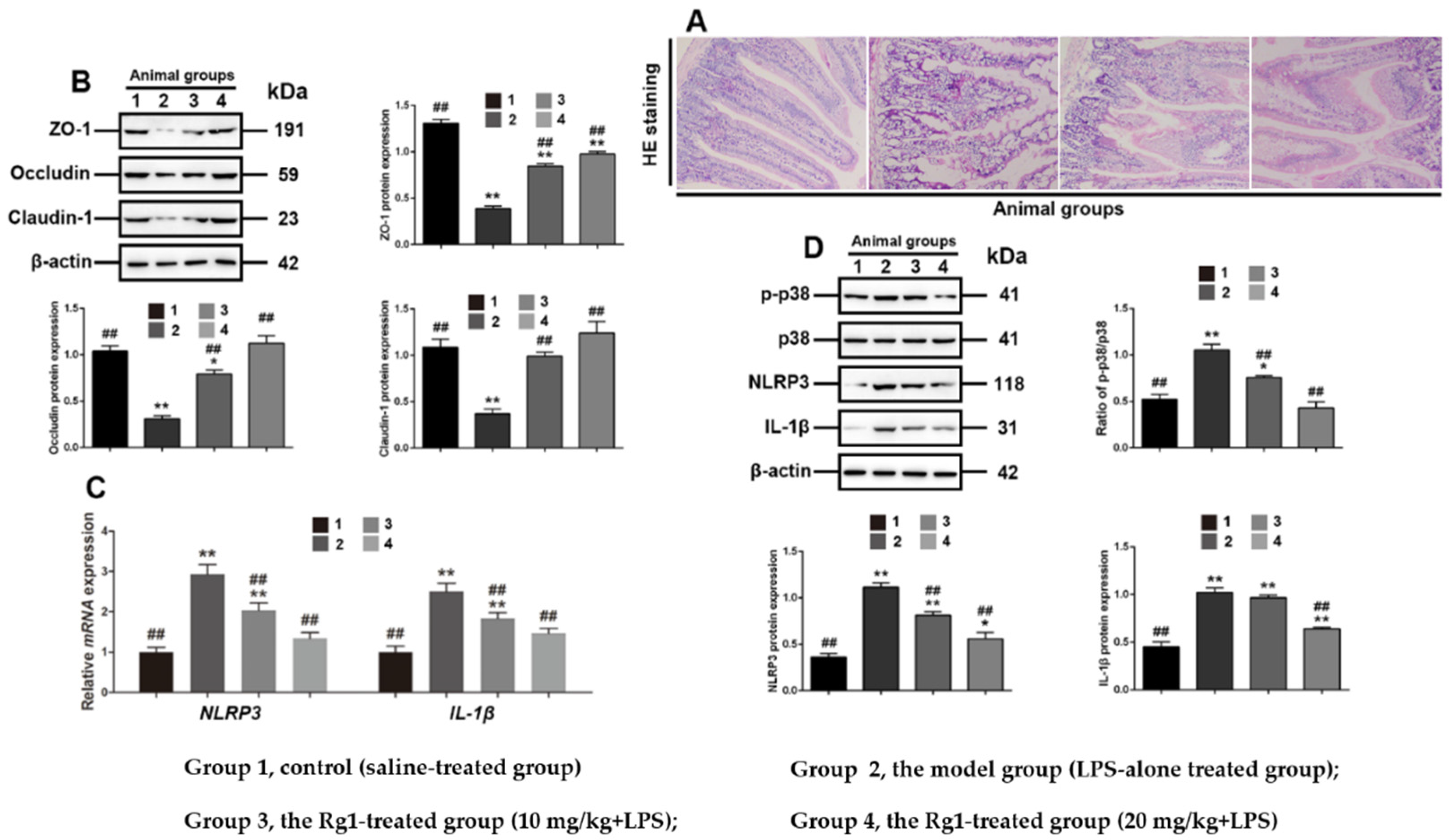 Toxics 10 00285 g006 550