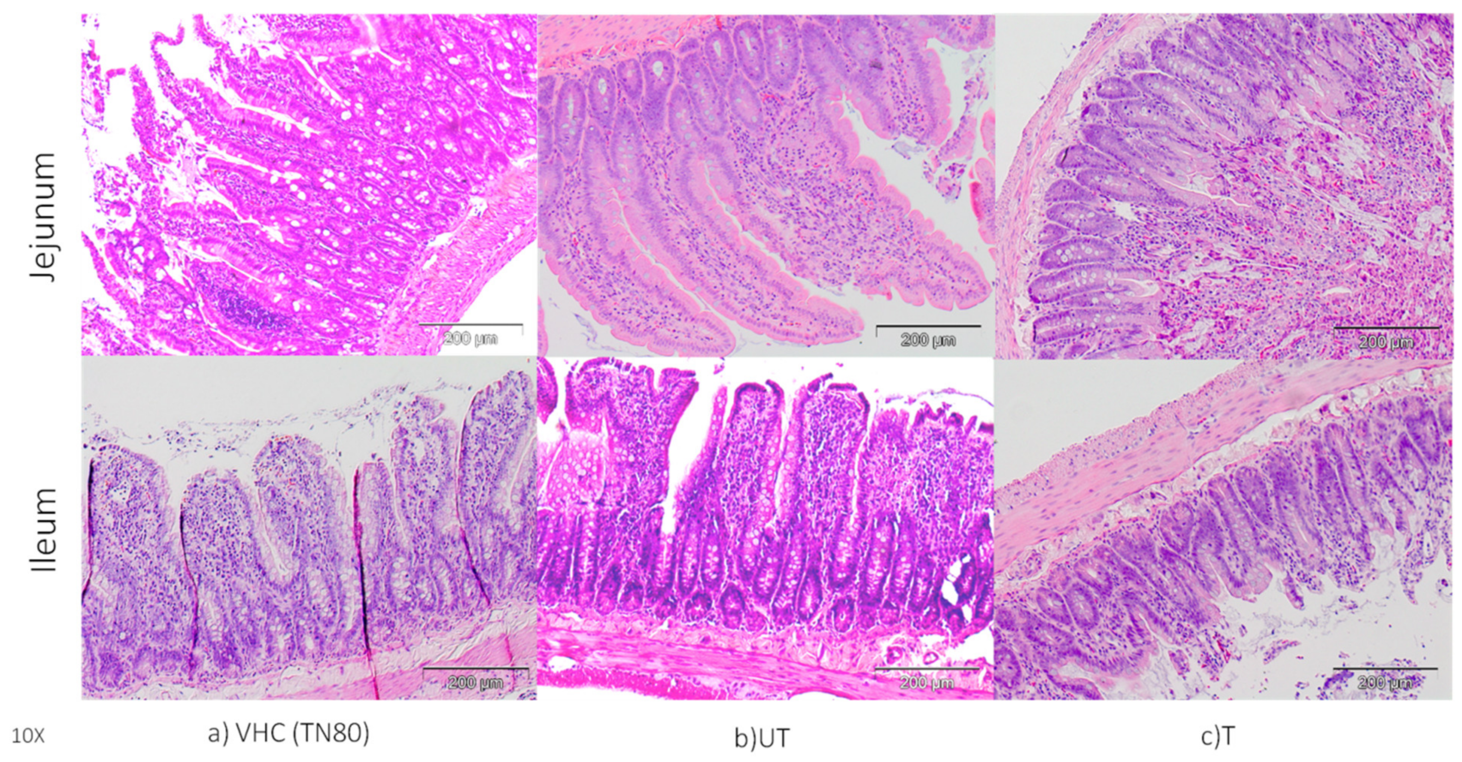 Toxics 10 00296 g003 Toxics 10 00296 g003