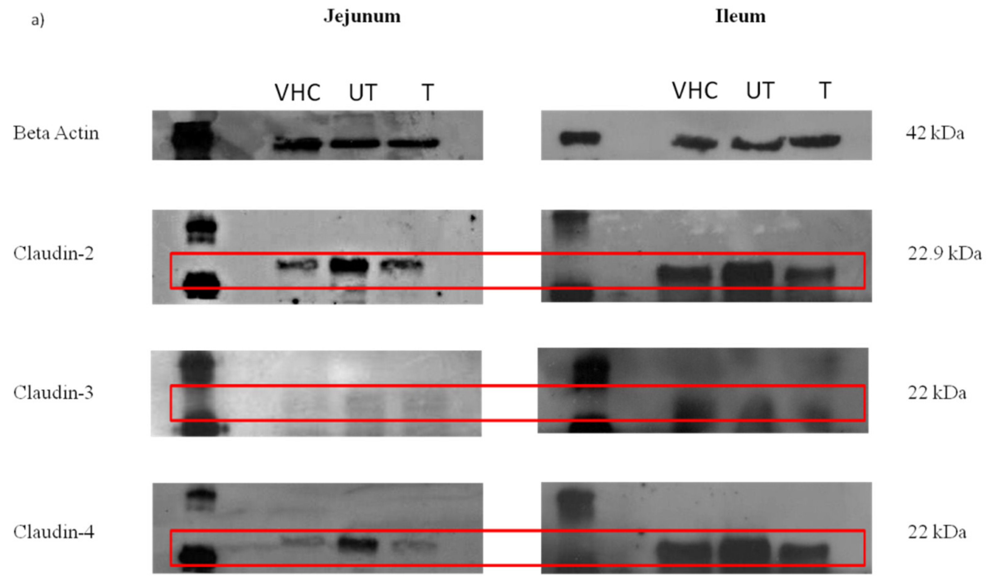 Toxics 10 00296 g006a Toxics 10 00296 g006a