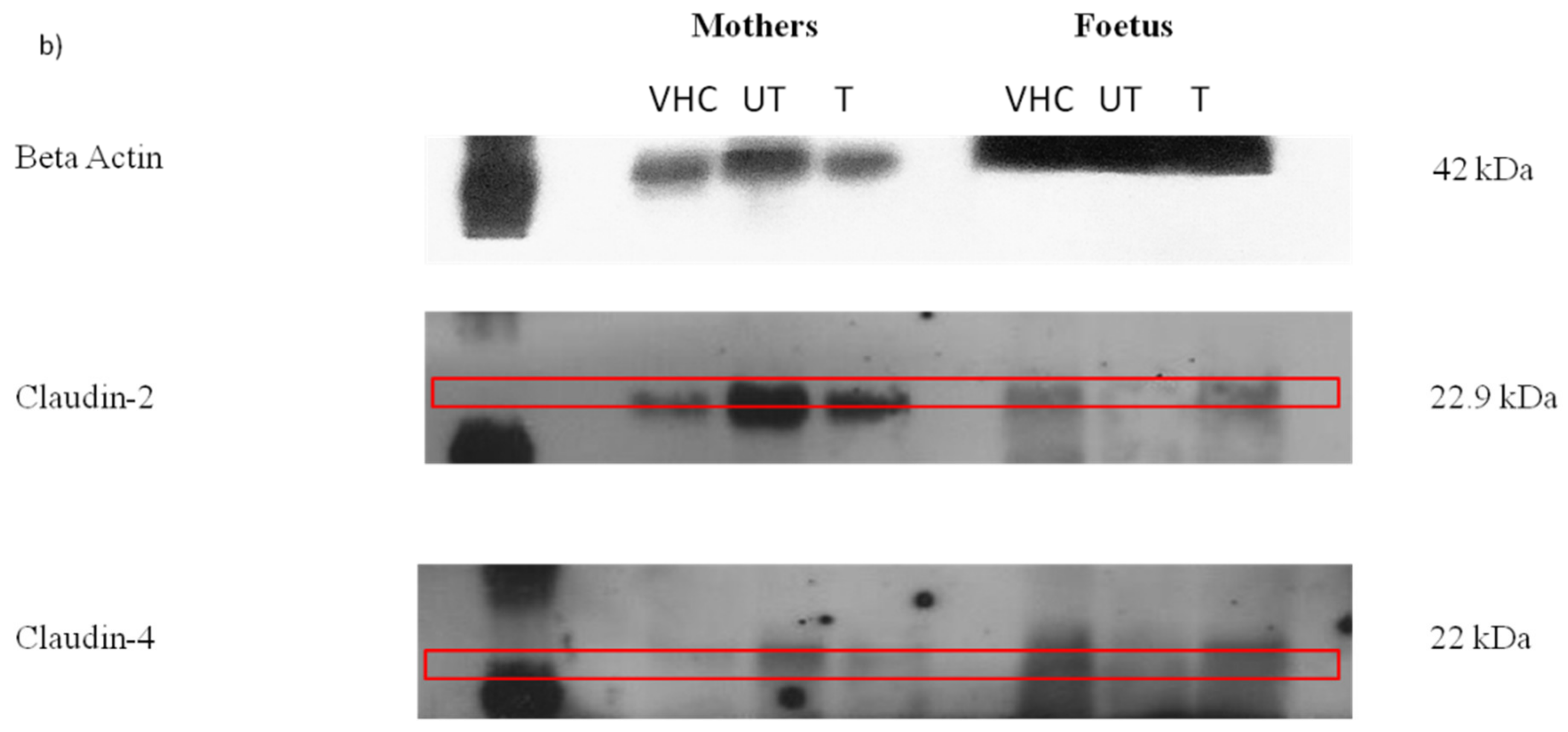 Toxics 10 00296 g006b Toxics 10 00296 g006b