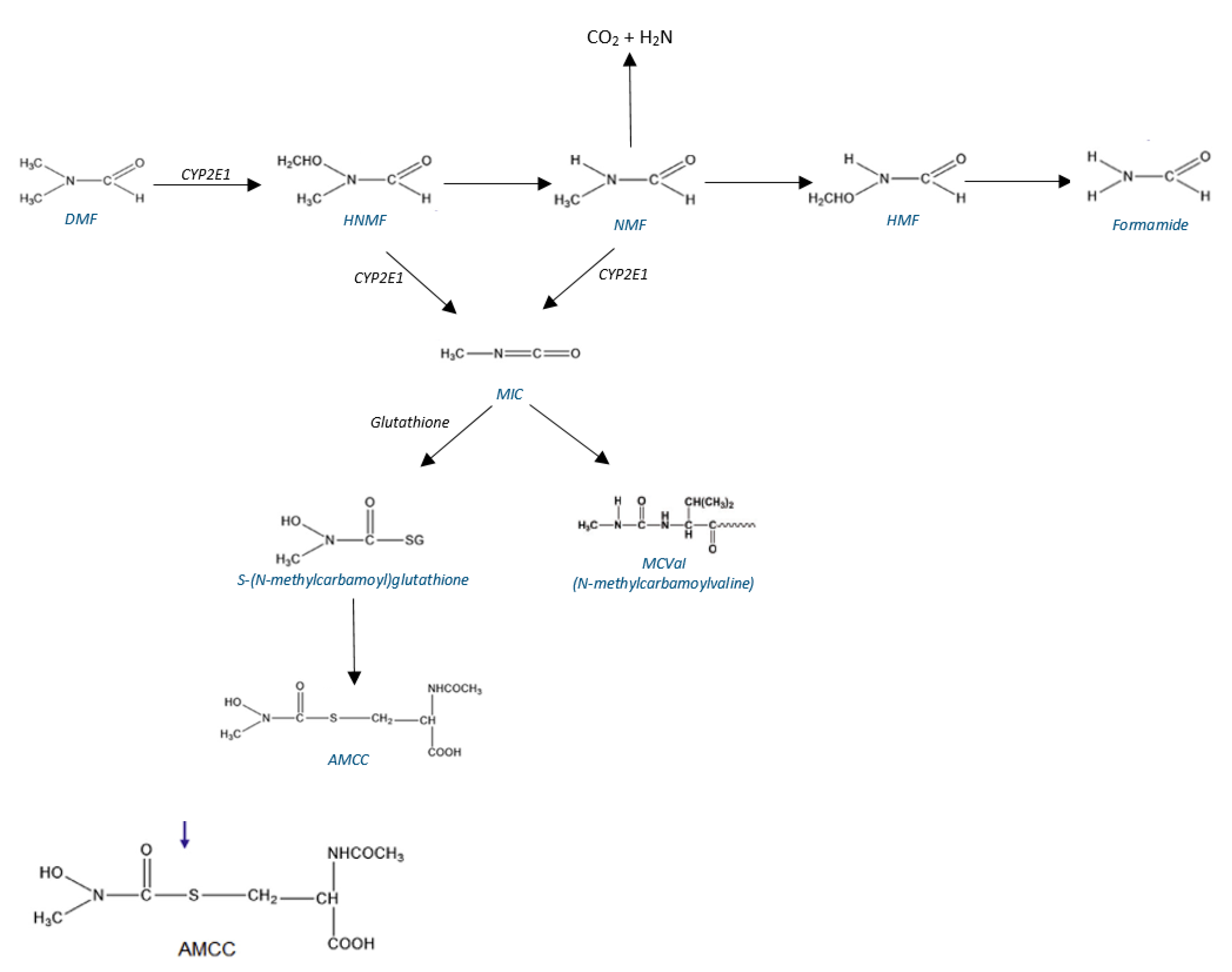 Toxics 10 00298 g002