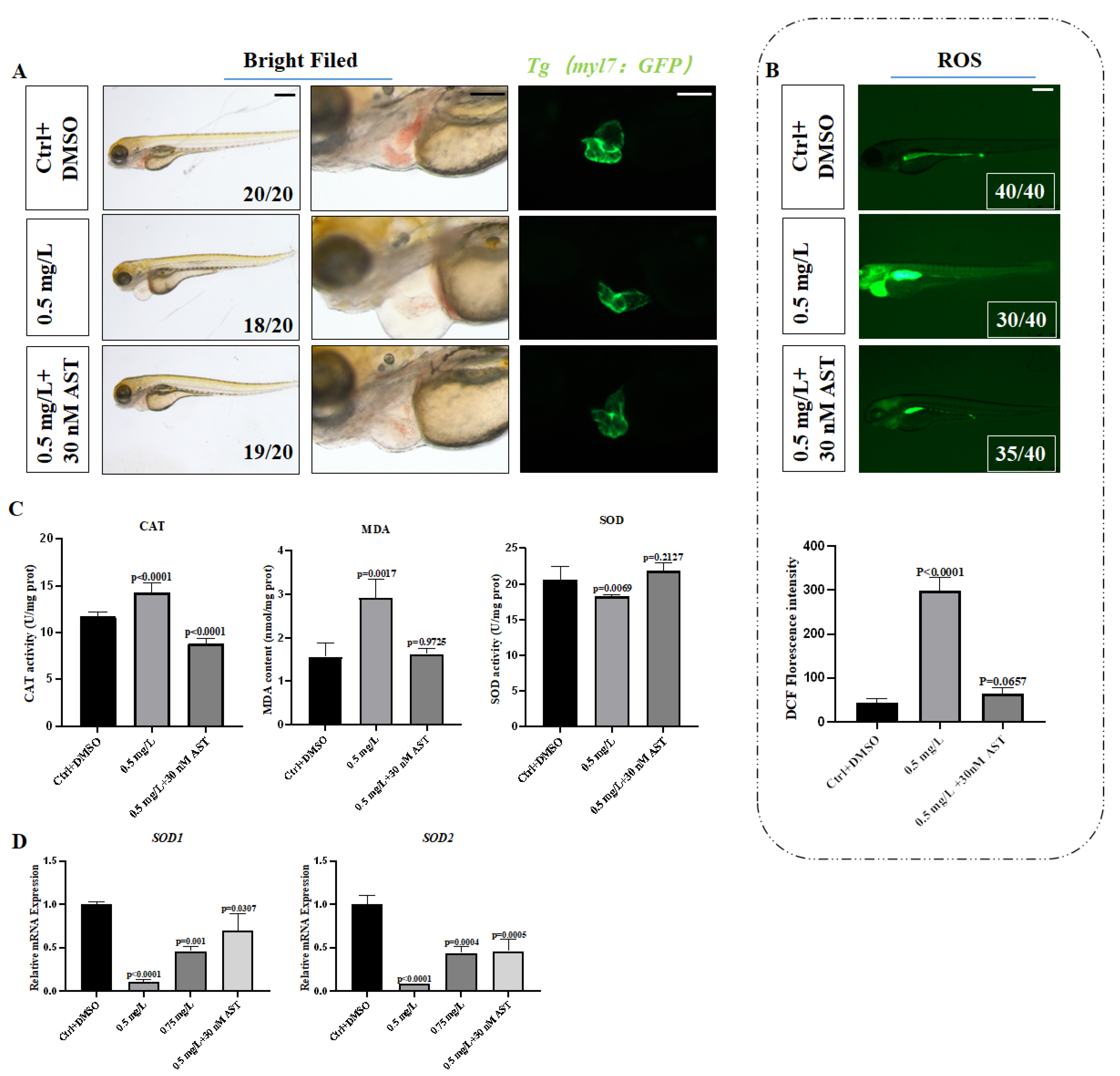 Toxics 10 00299 g004
