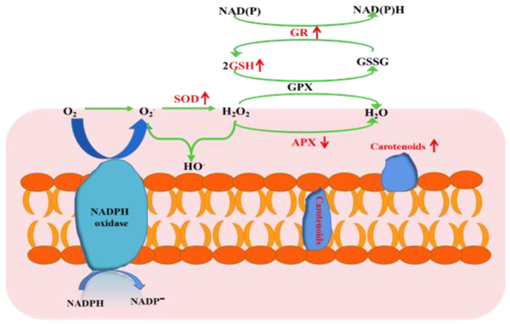 Toxics 10 00302 g004 550