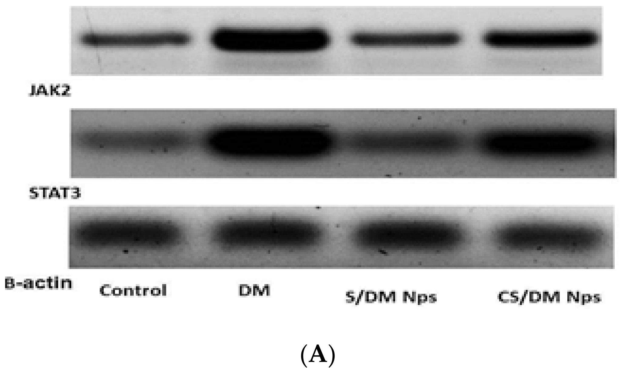 Toxics 10 00303 g002a