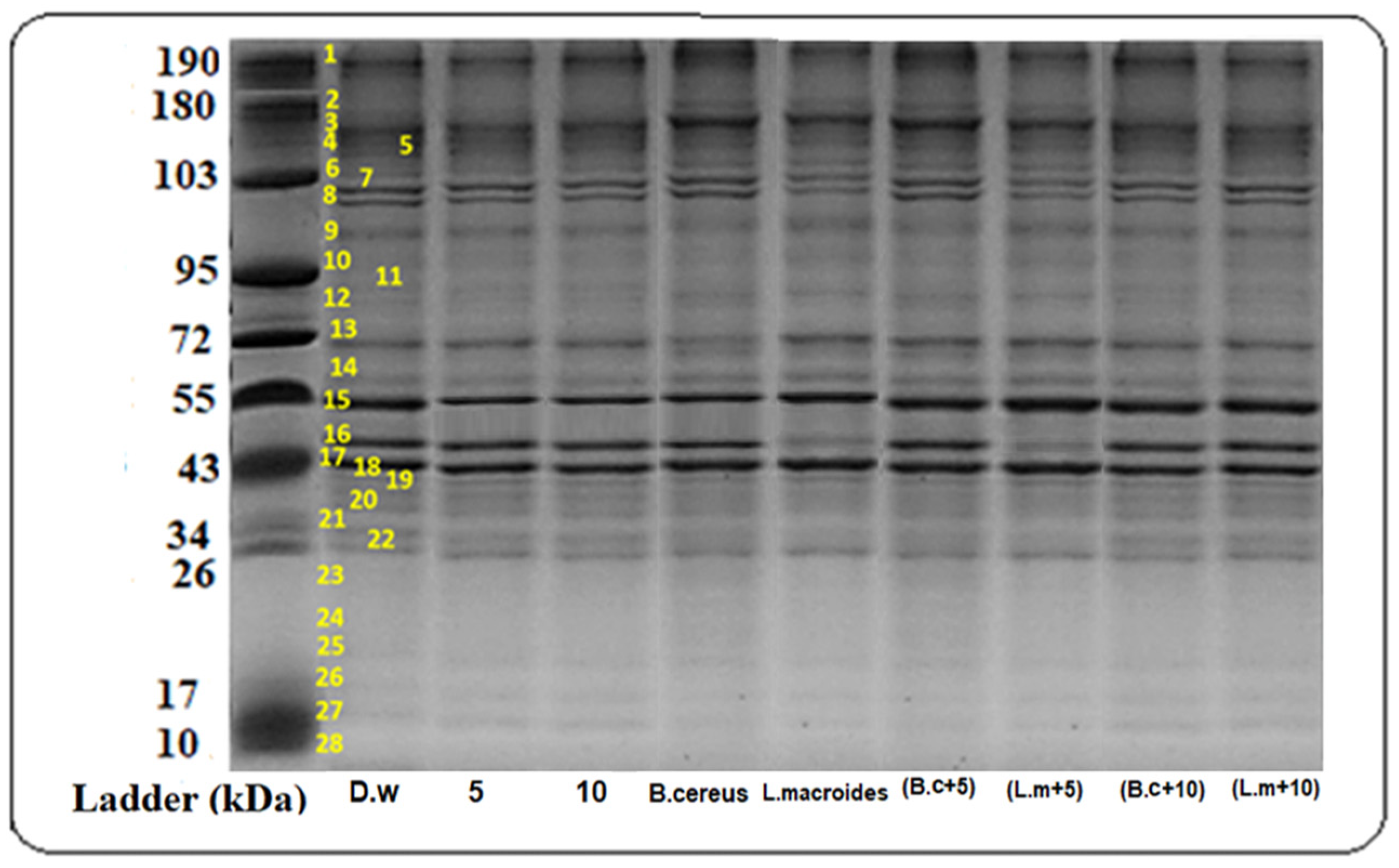 Toxics 10 00305 g001