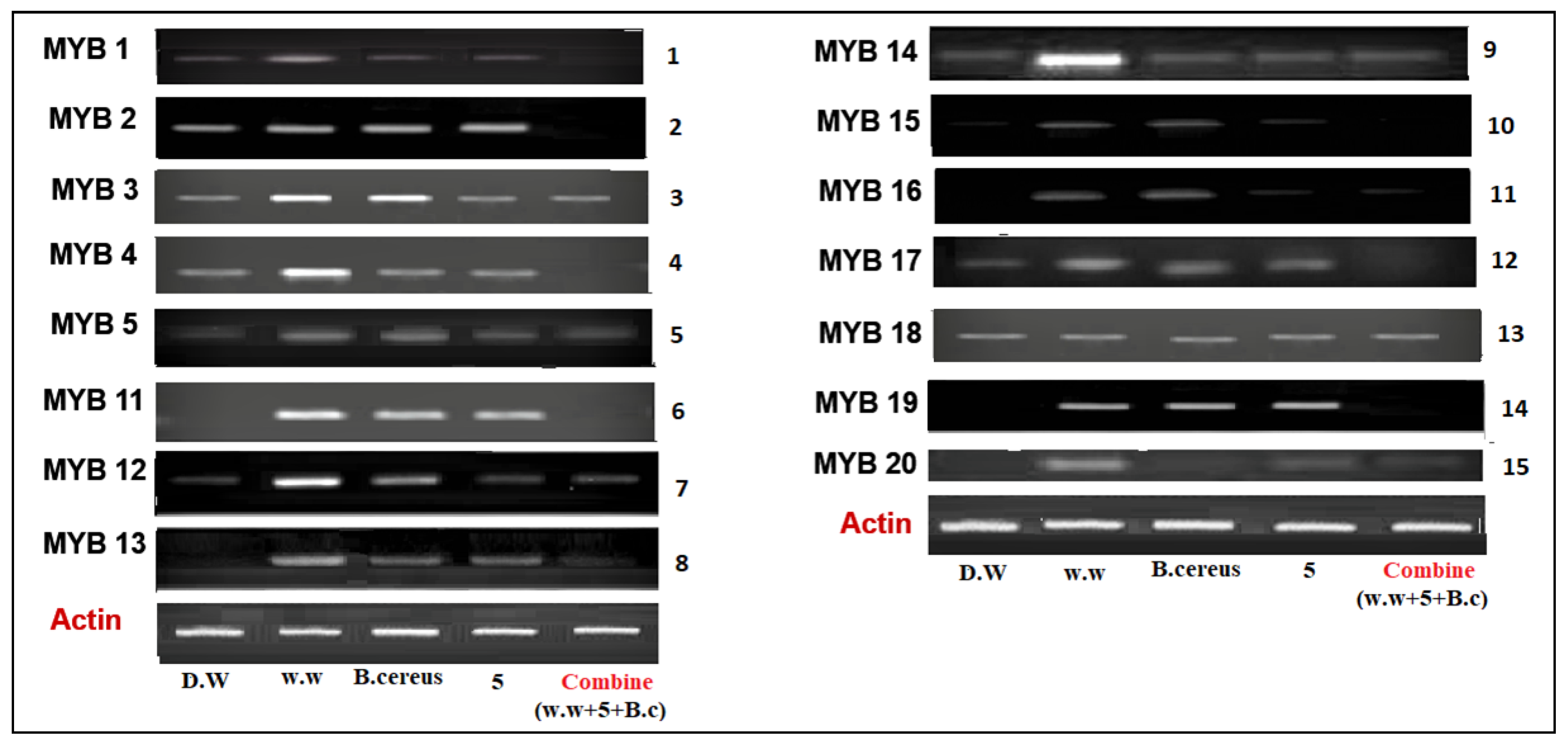 Toxics 10 00305 g005