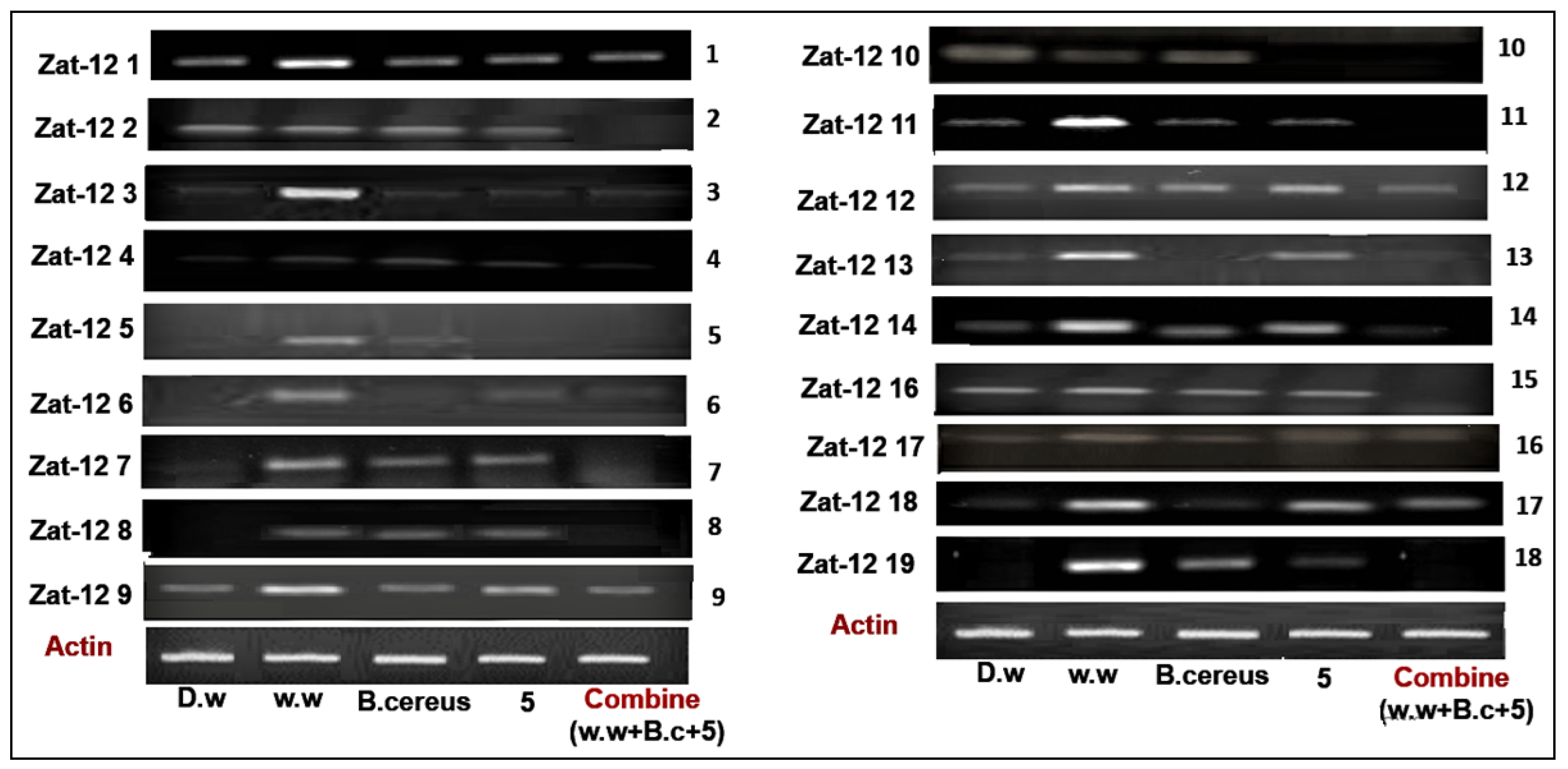 Toxics 10 00305 g007