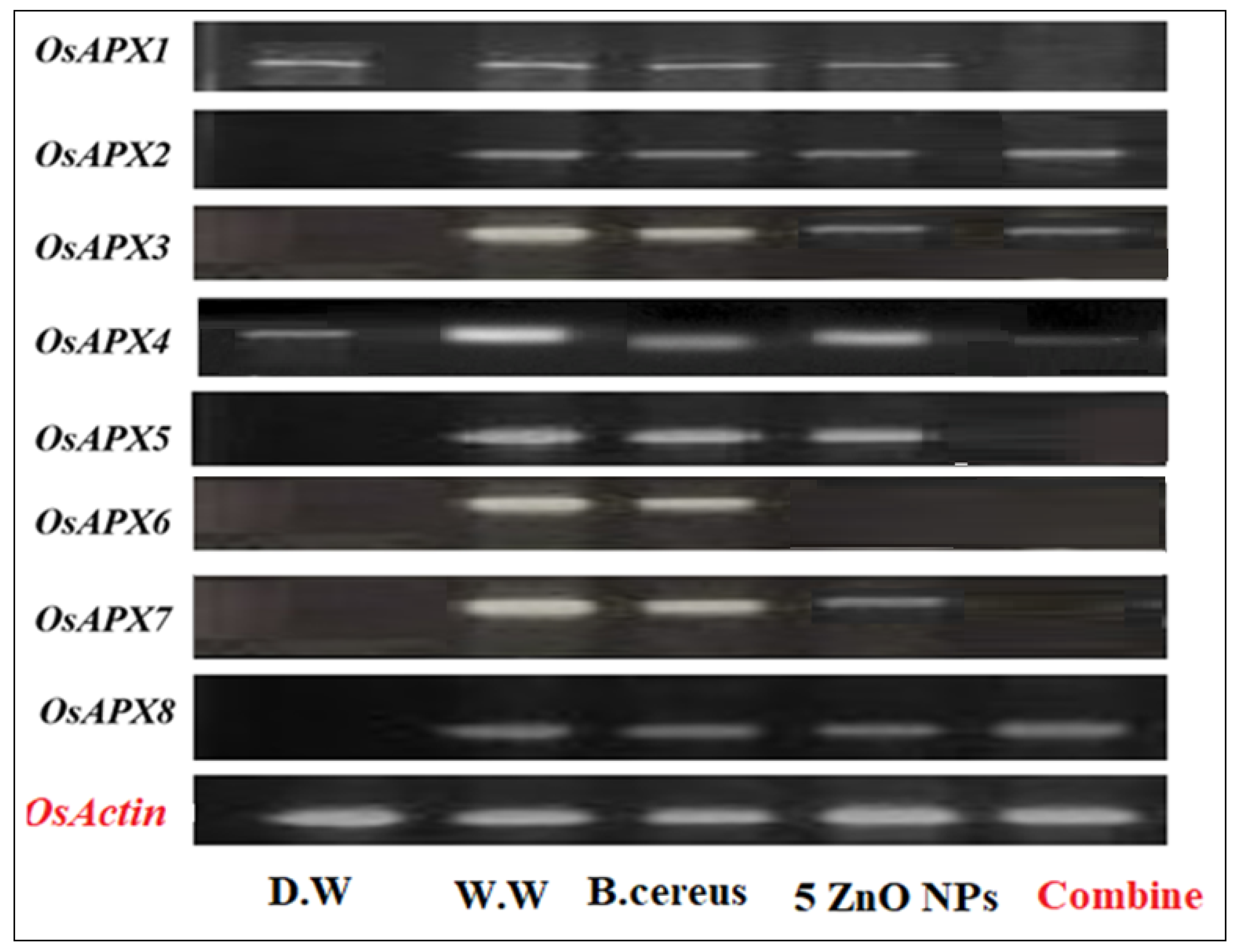 Toxics 10 00305 g009