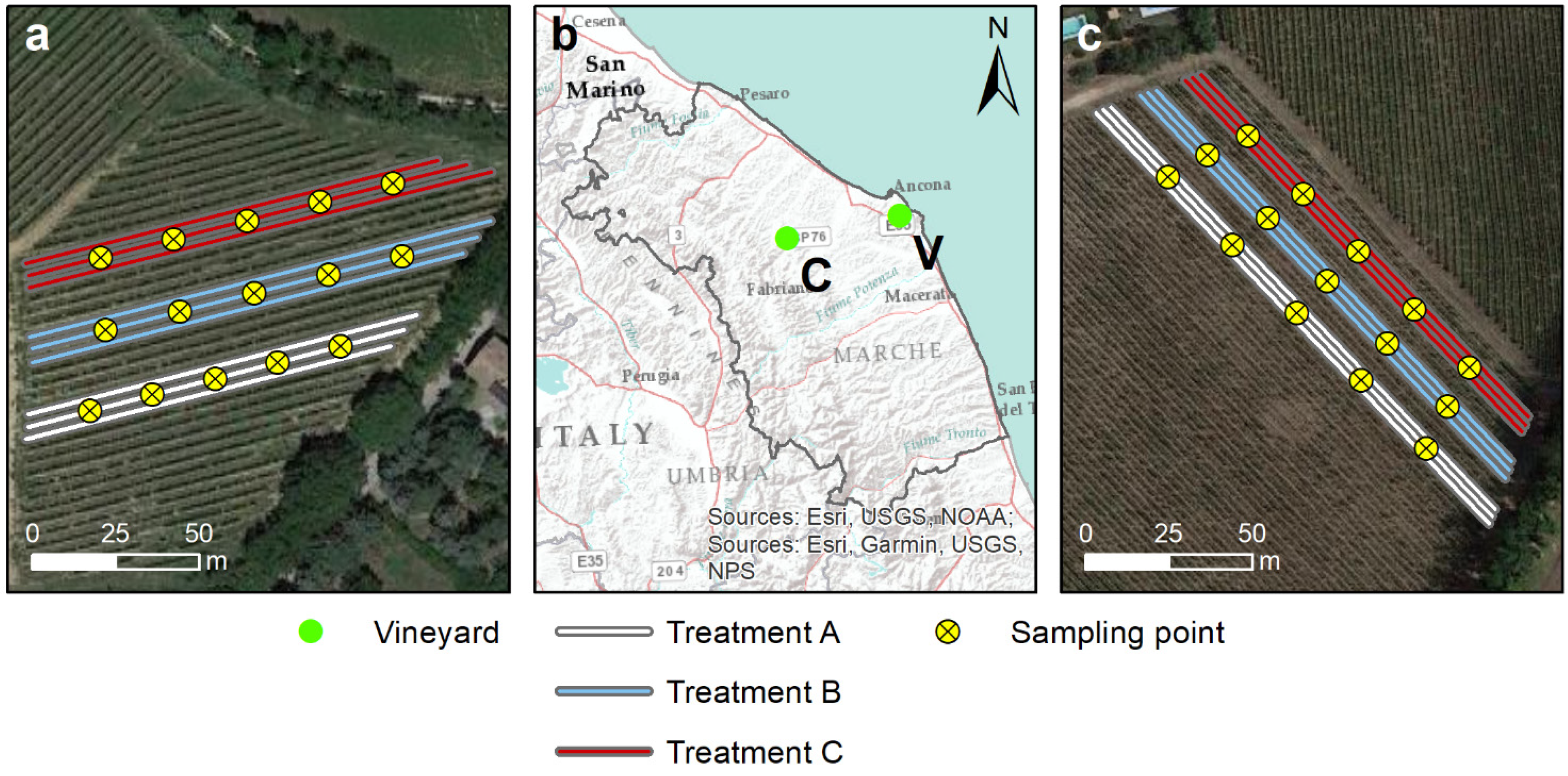 Toxics 10 00310 g001 Toxics 10 00310 g001