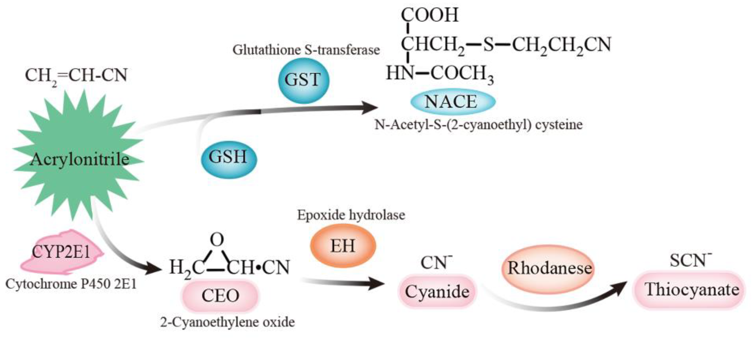 Toxics 10 00337 g001