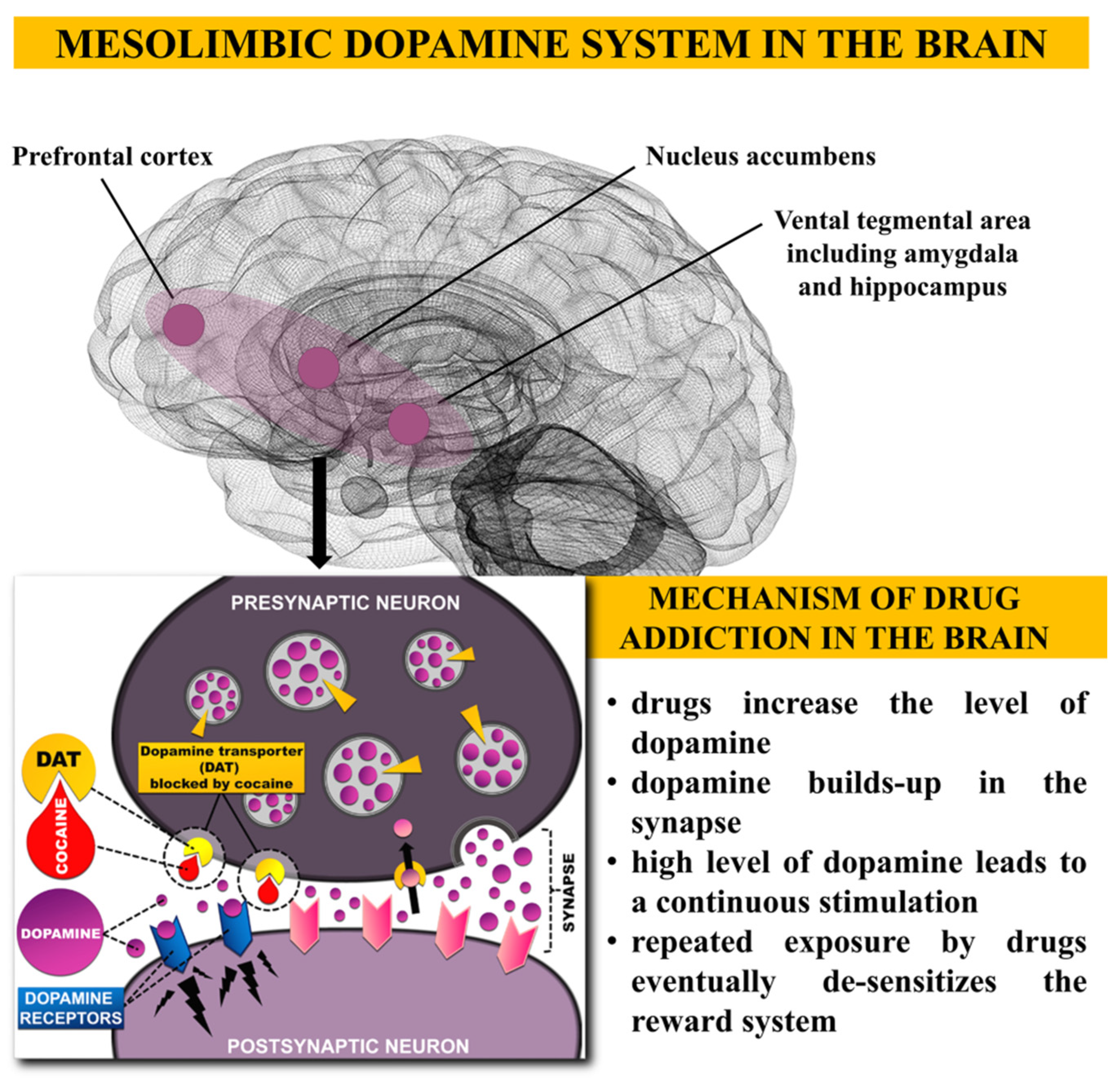 Toxics 10 00344 g002
