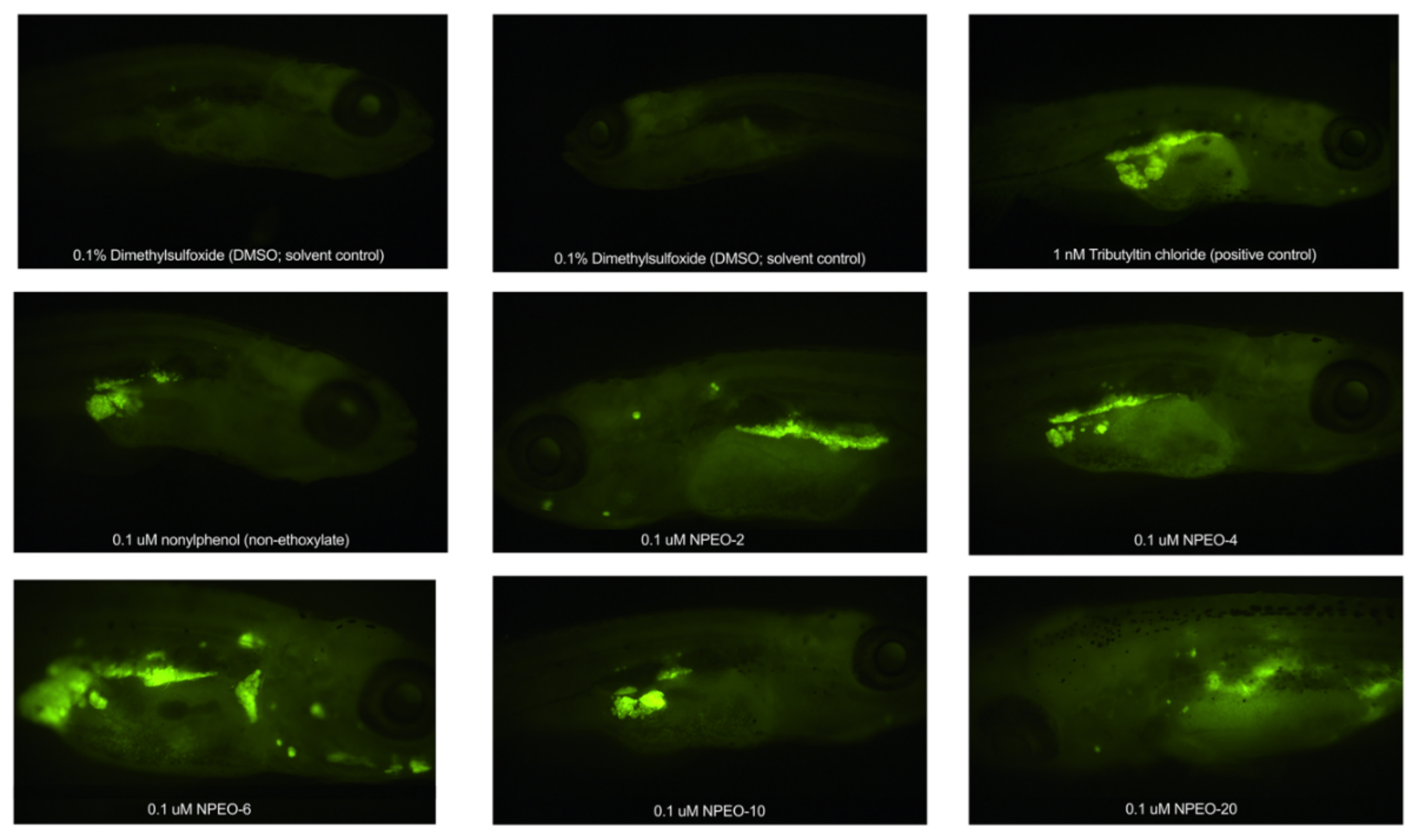 Toxics 10 00345 g006
