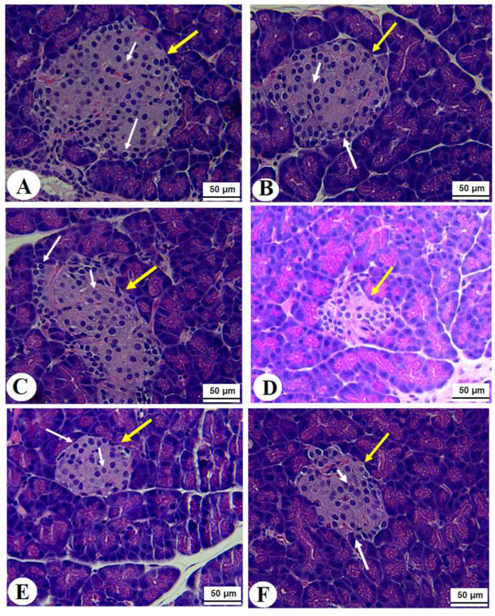 Toxics 10 00362 g005