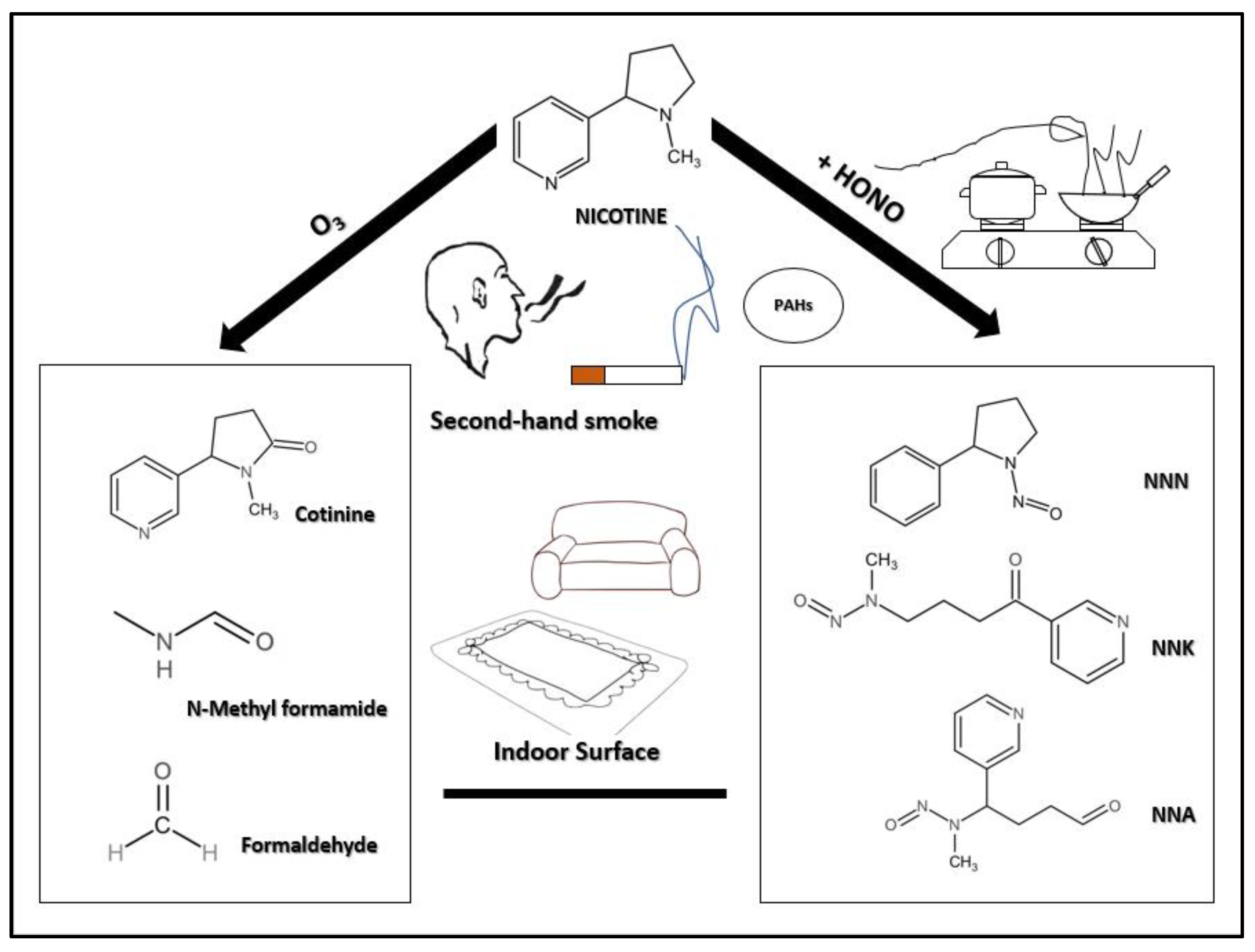 Toxics 10 00363 g001