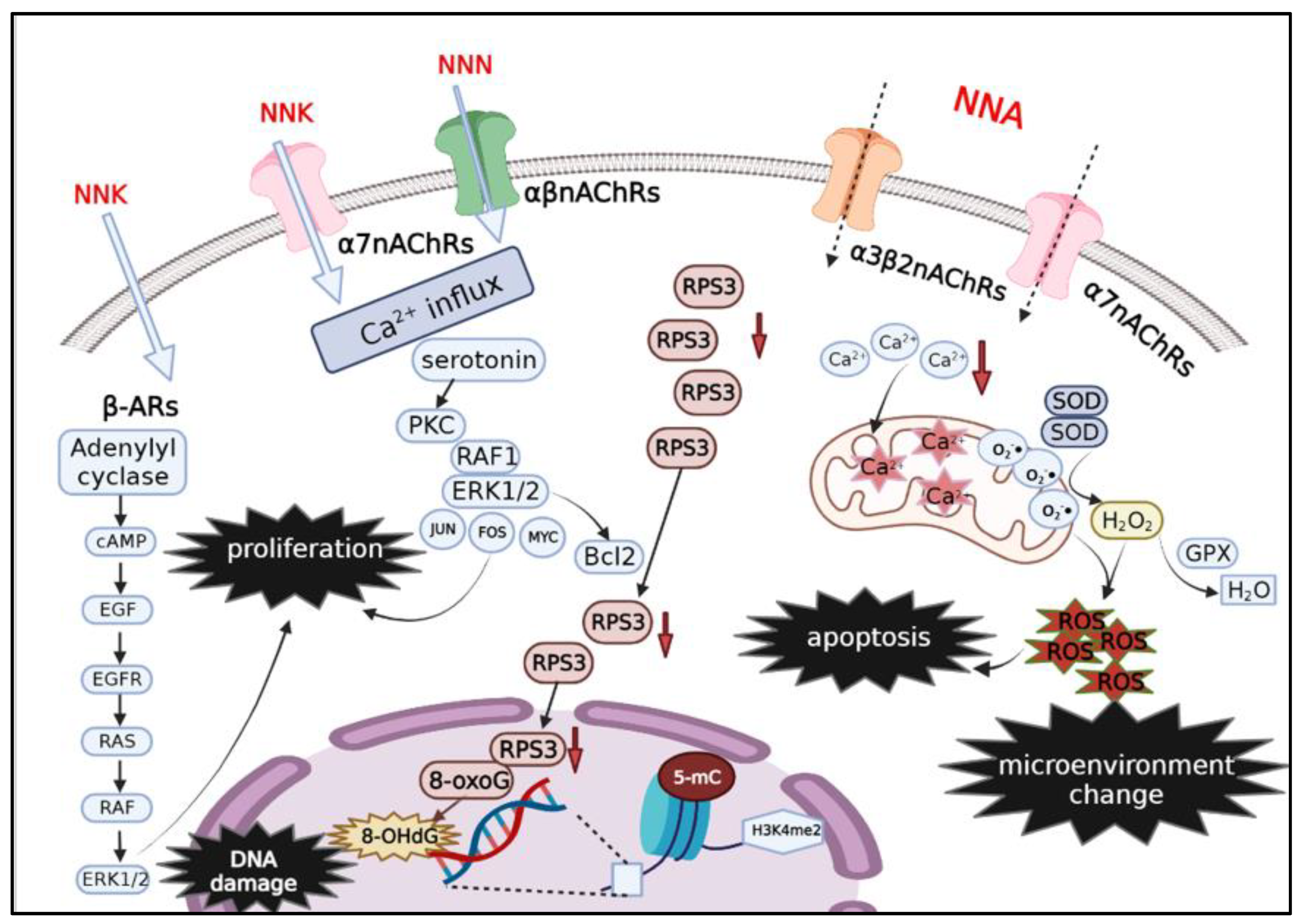 Toxics 10 00363 g002