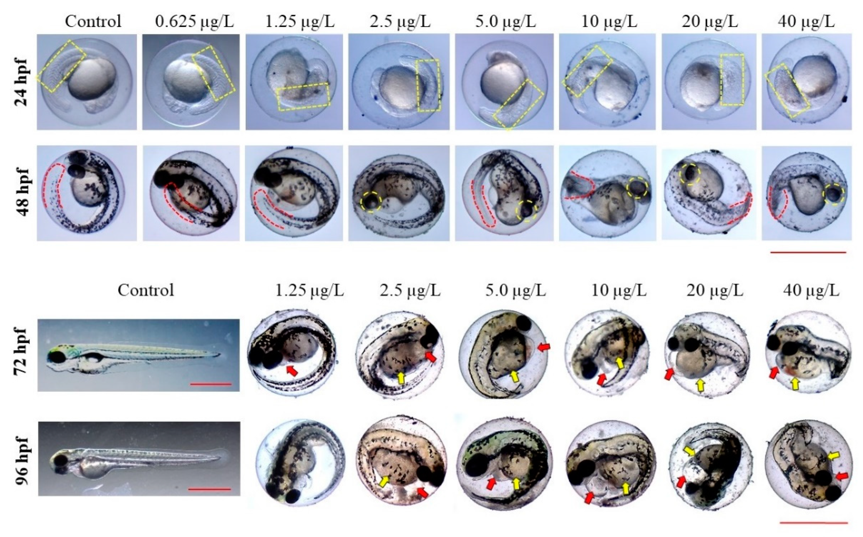 Toxics 10 00369 g001