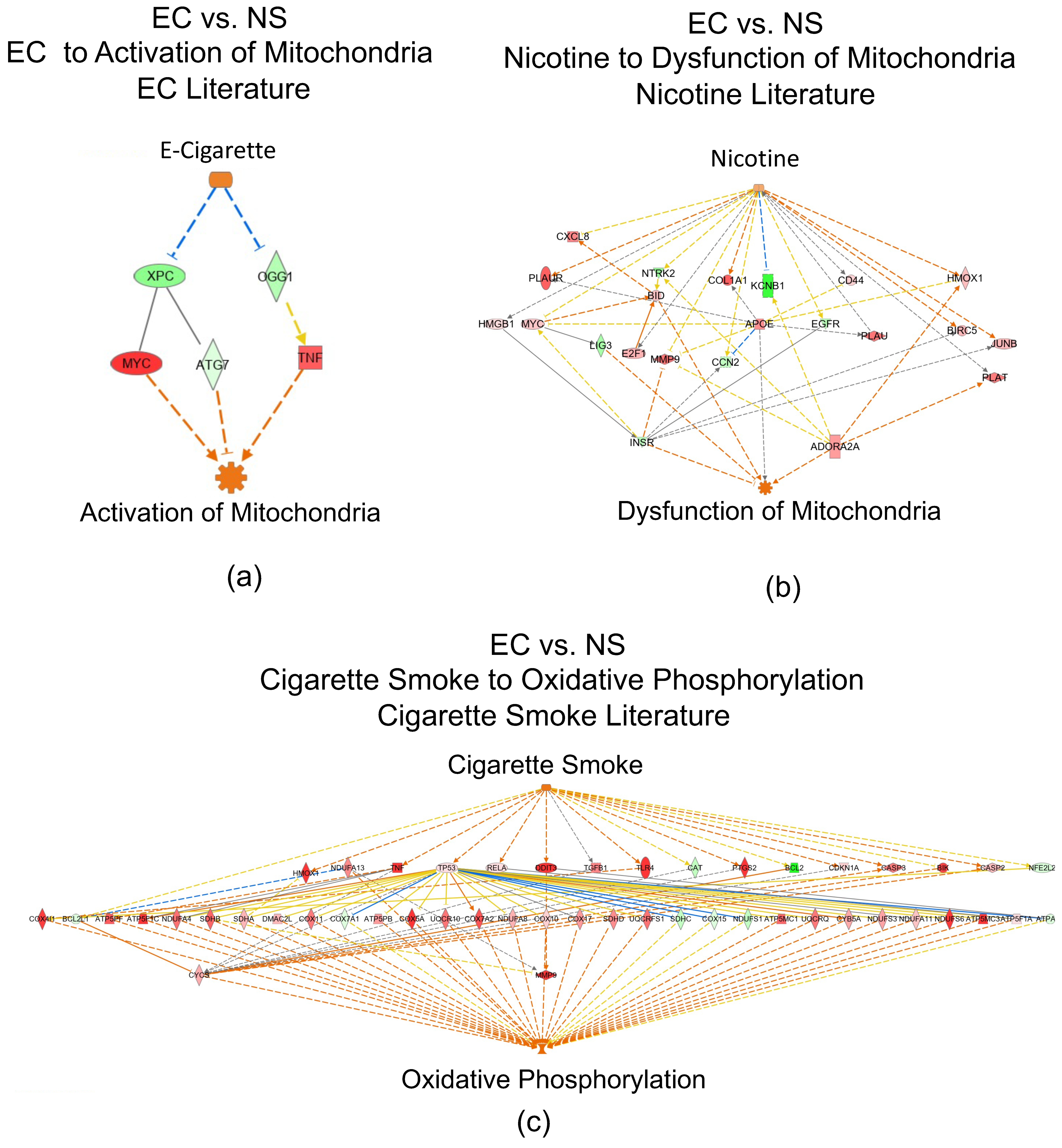 Toxics 10 00370 g004 Toxics 10 00370 g004