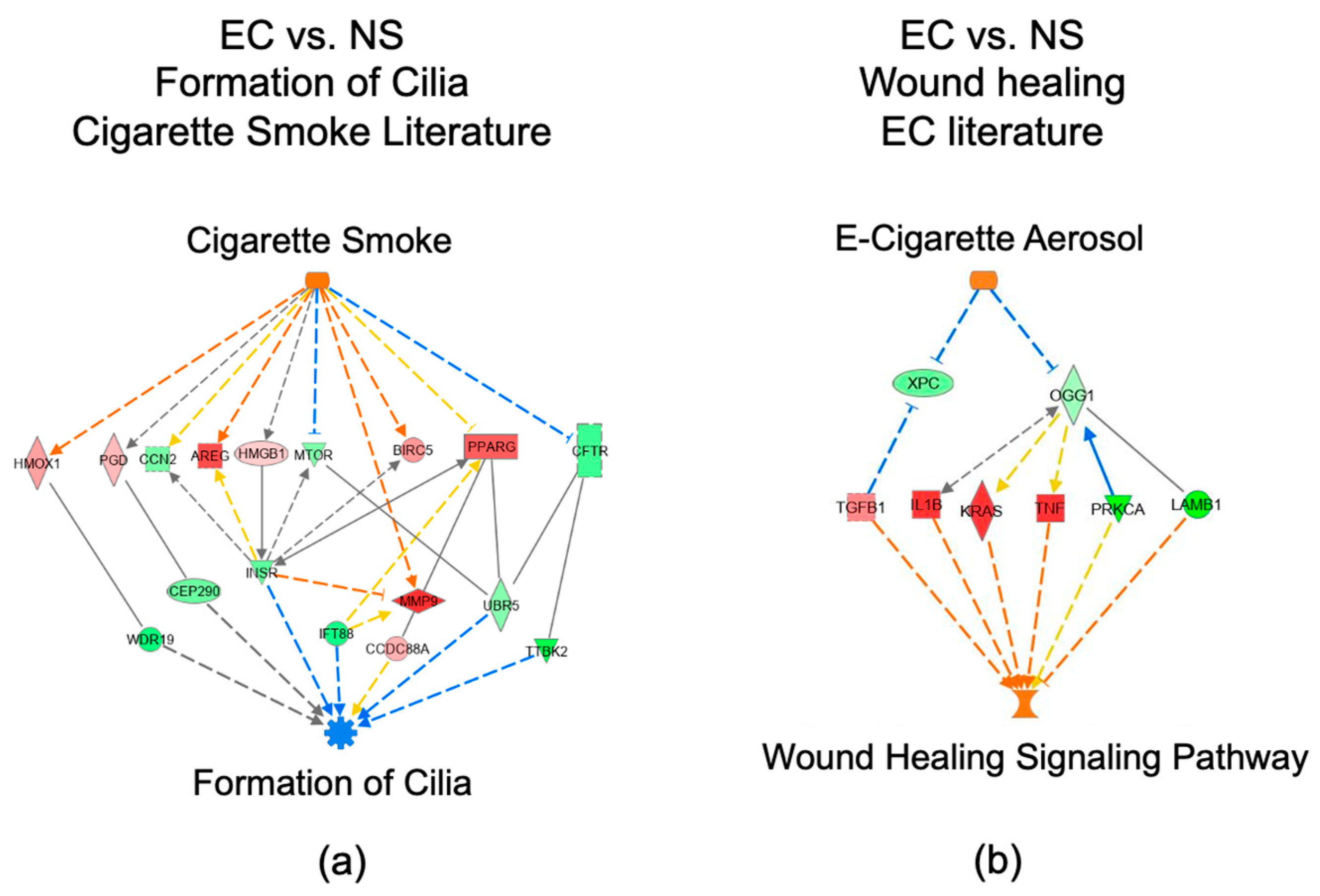 Toxics 10 00370 g005 Toxics 10 00370 g005