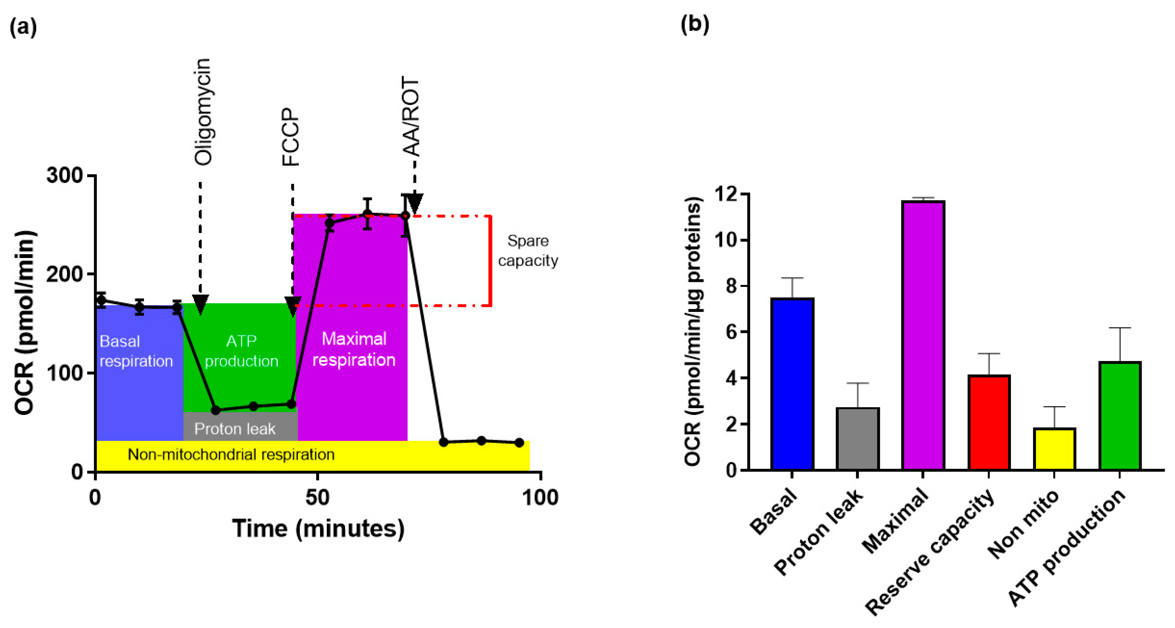 Toxics 10 00373 g007 550