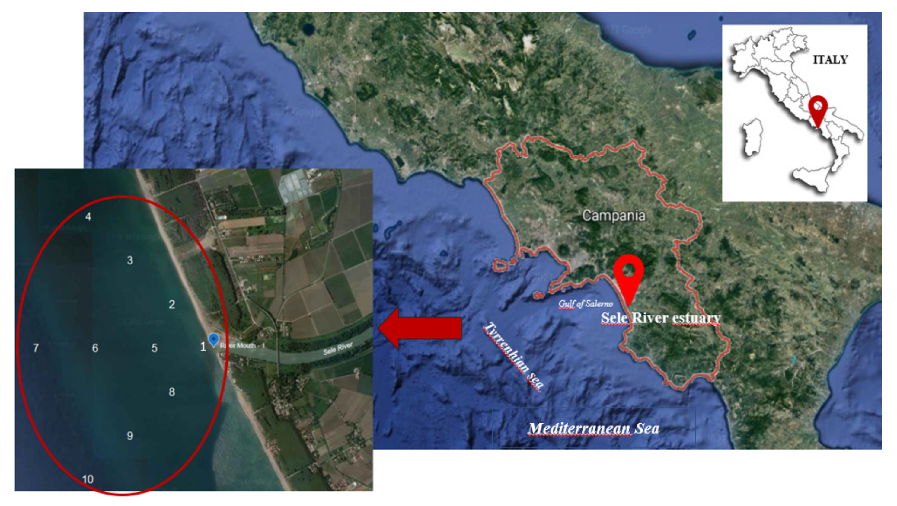 Toxics 10 00377 g001