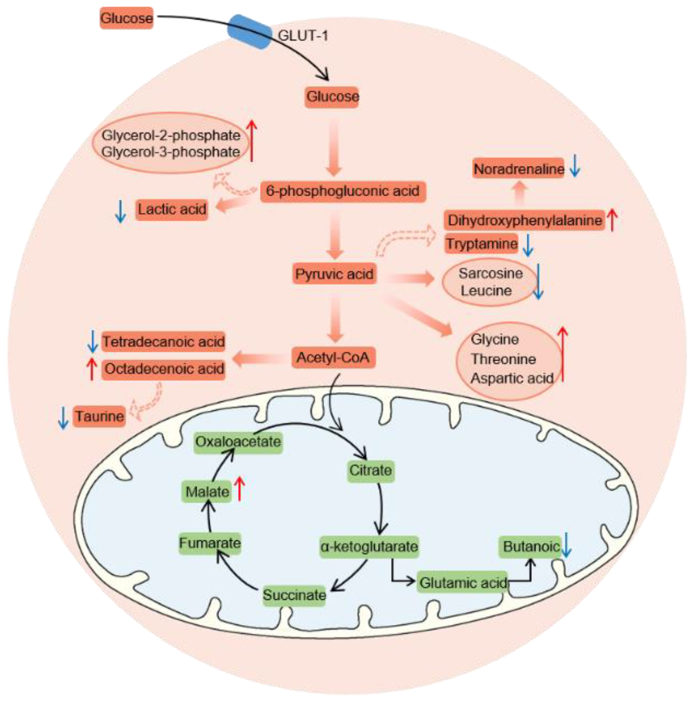 Toxics 10 00400 g004