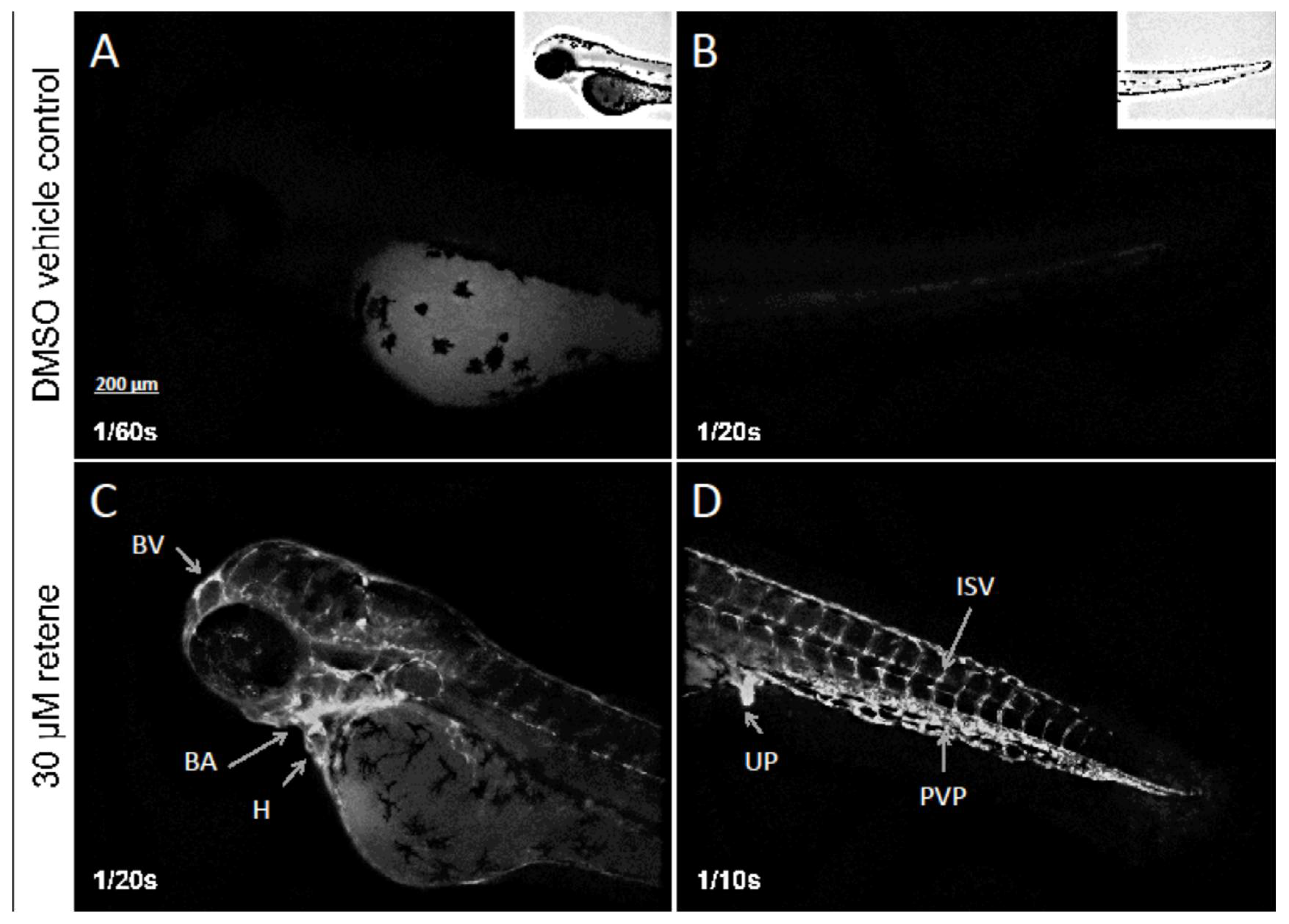 Toxics 10 00404 g002 550