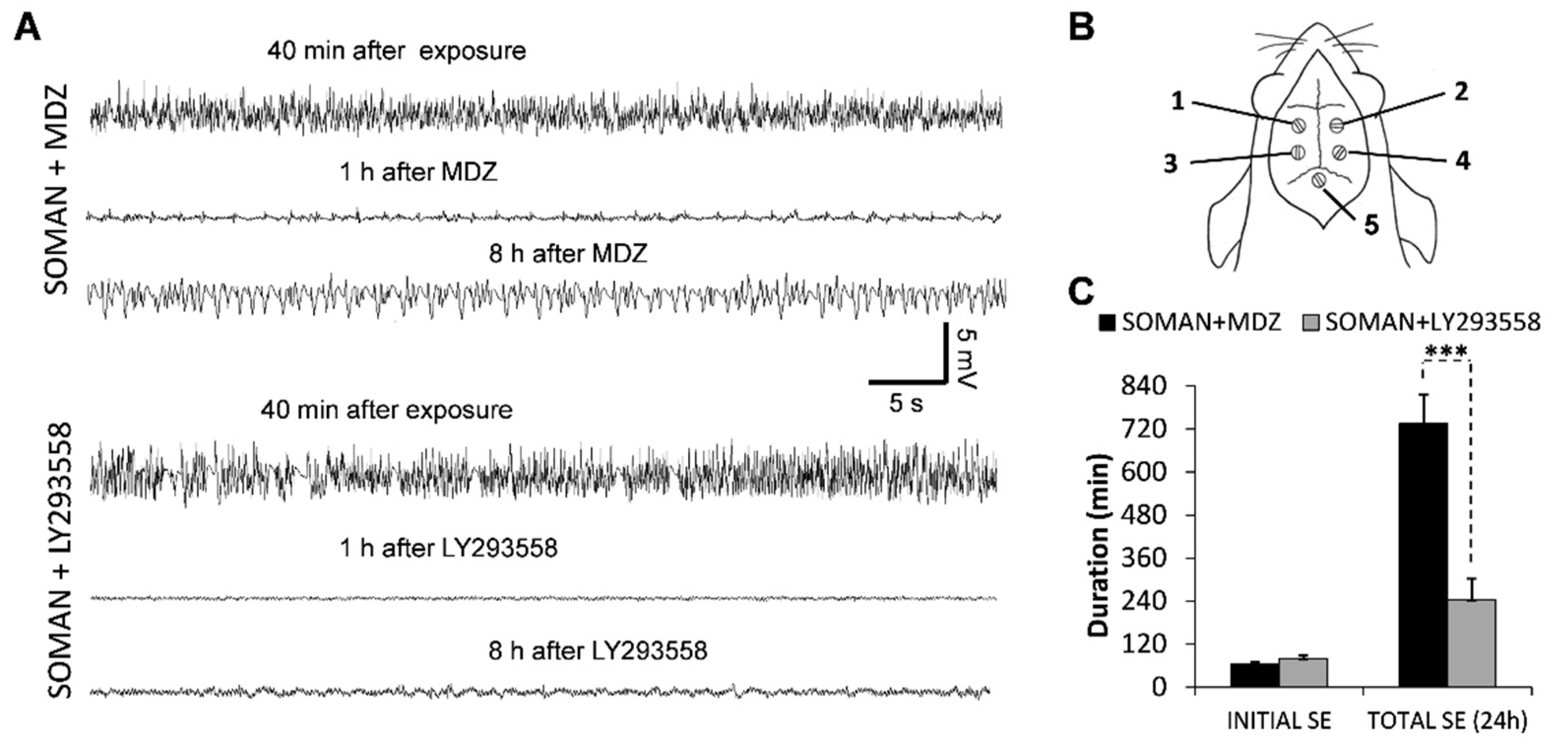 Toxics 10 00409 g001