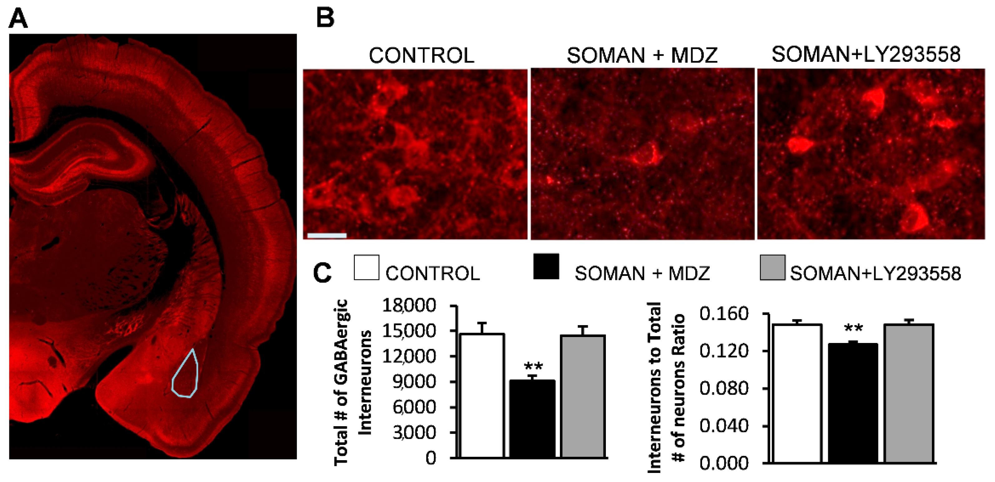 Toxics 10 00409 g003
