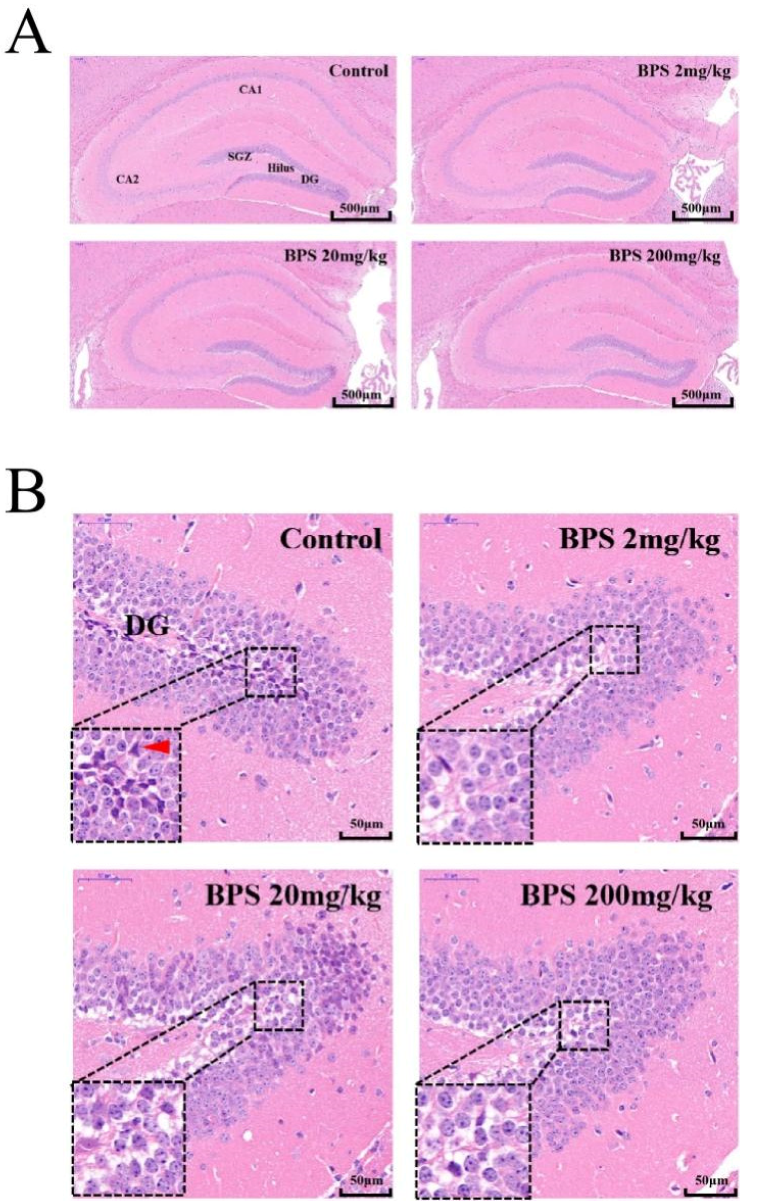 Toxics 10 00413 g002