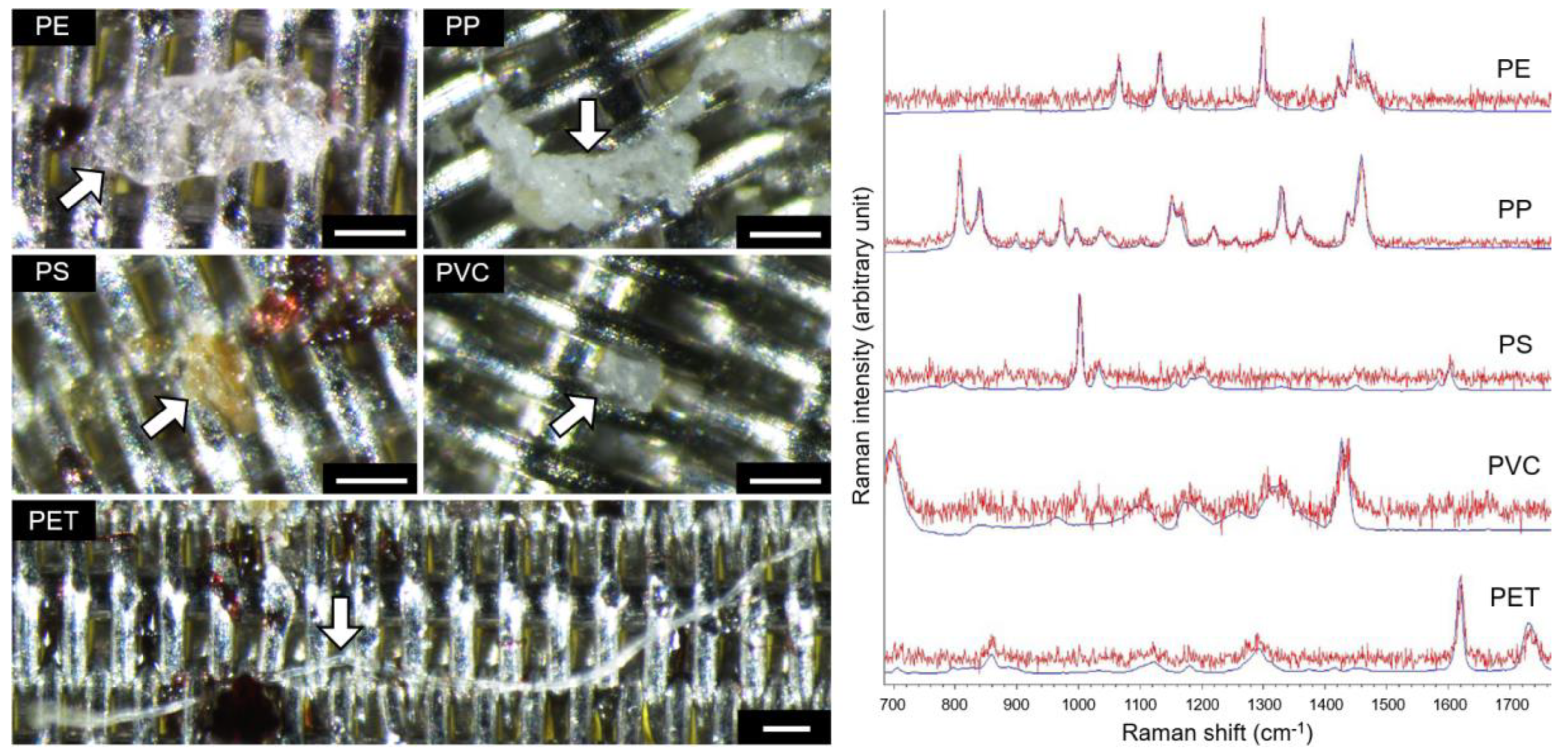 Toxics 10 00414 g002