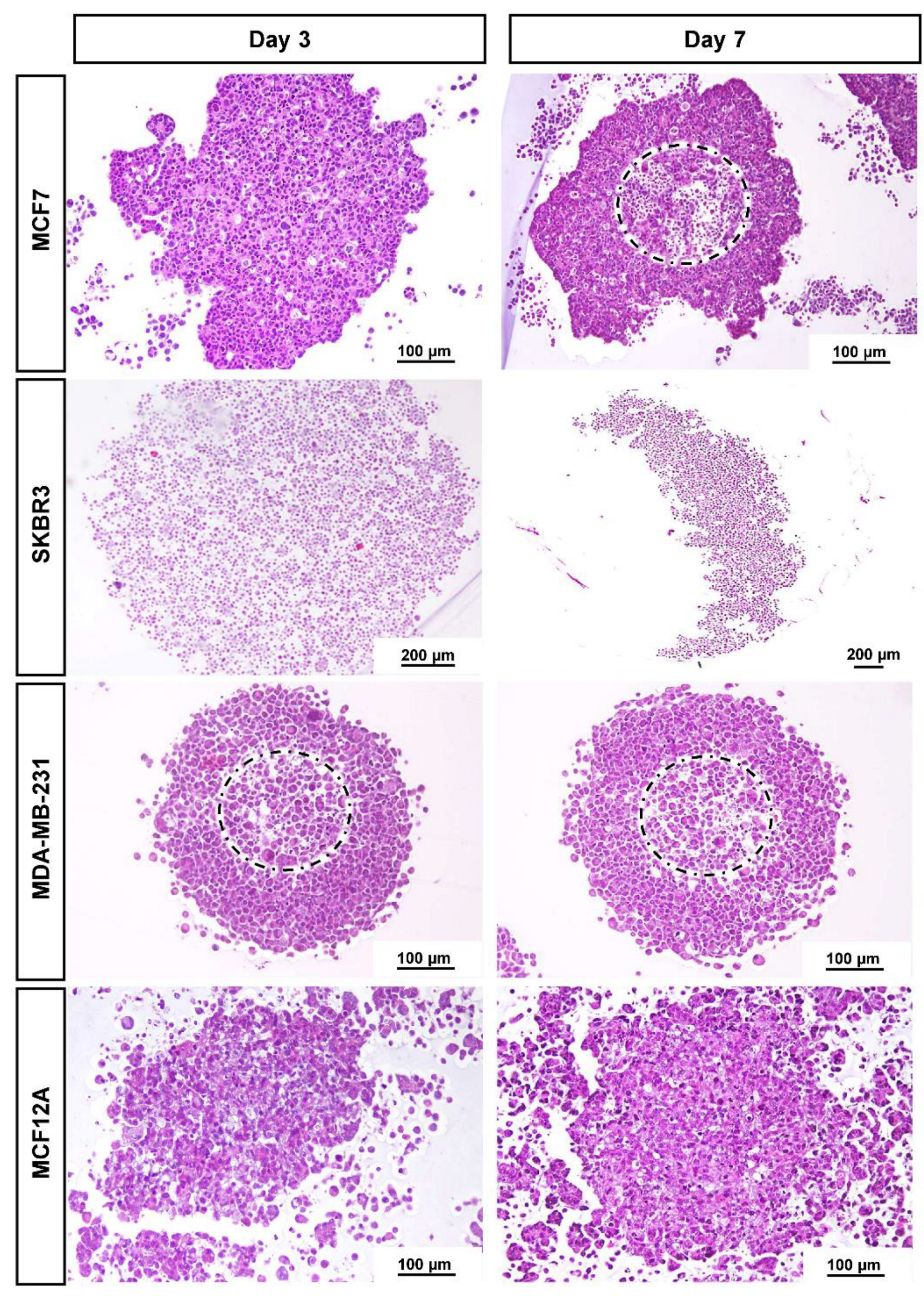Toxics 10 00415 g002 Toxics 10 00415 g002