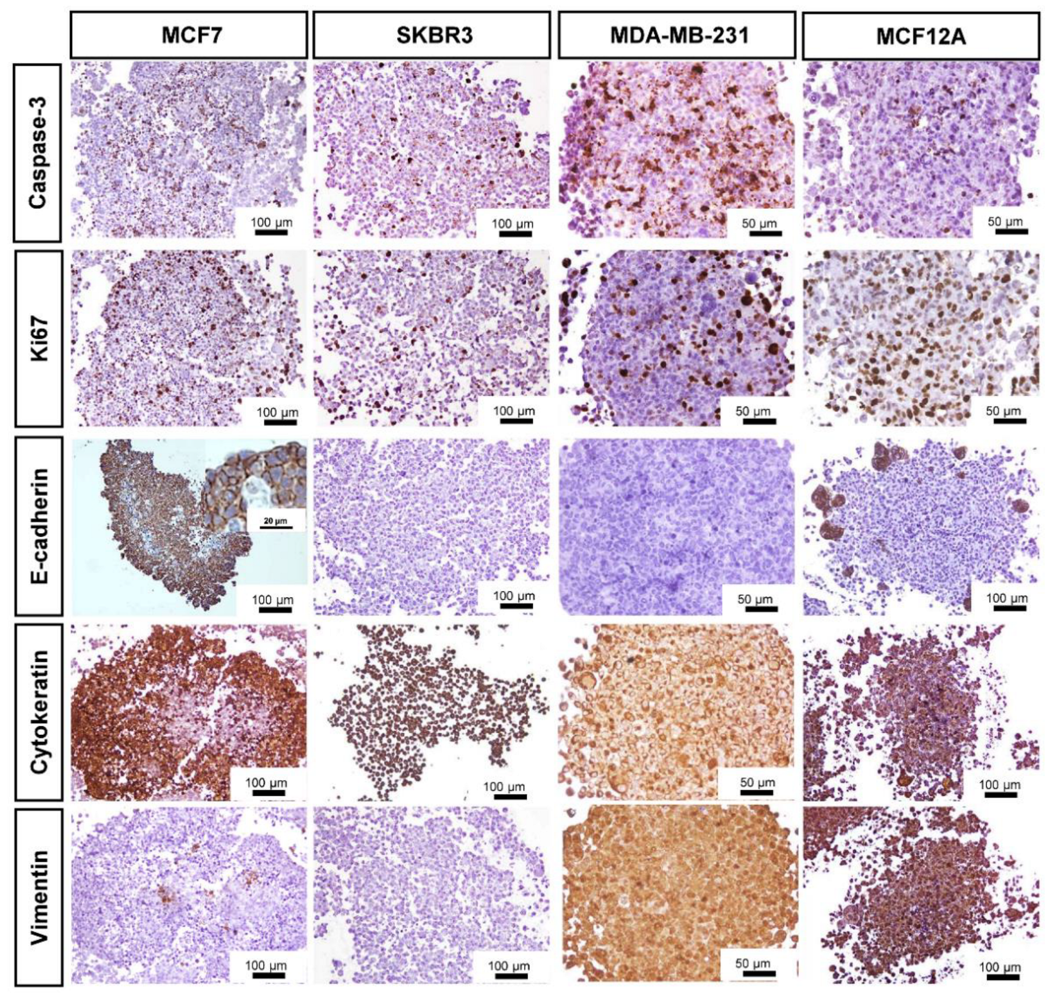 Toxics 10 00415 g003 Toxics 10 00415 g003