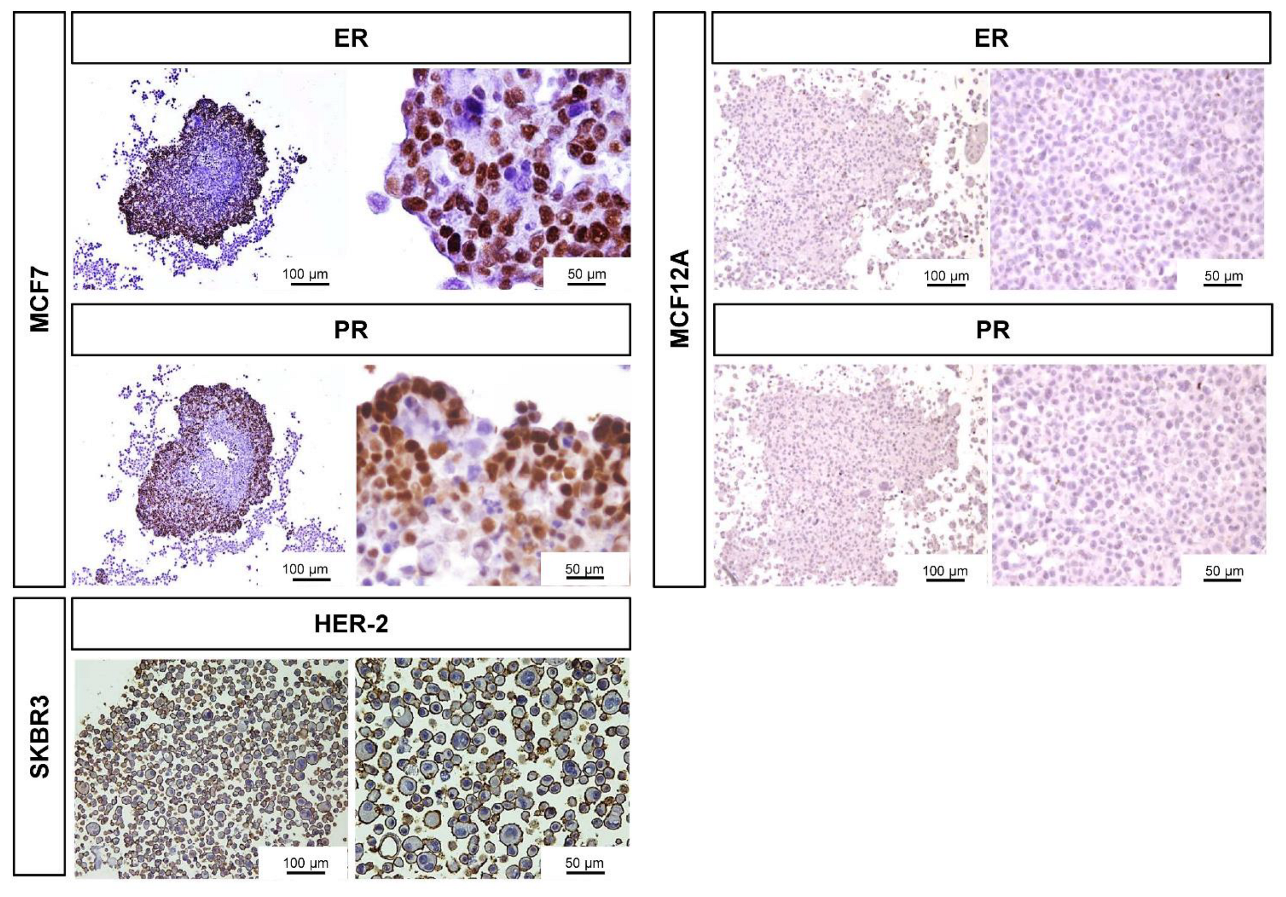 Toxics 10 00415 g004 Toxics 10 00415 g004