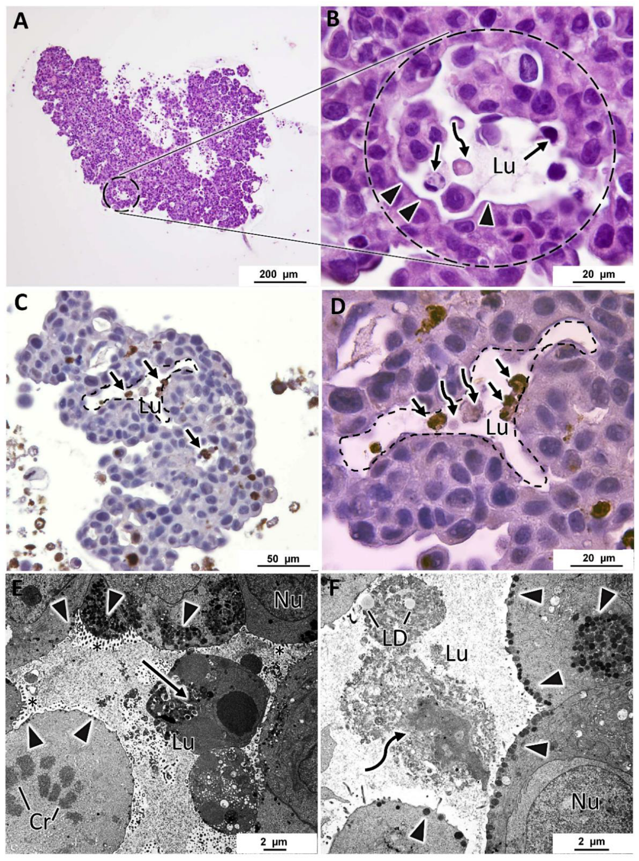 Toxics 10 00415 g005 Toxics 10 00415 g005