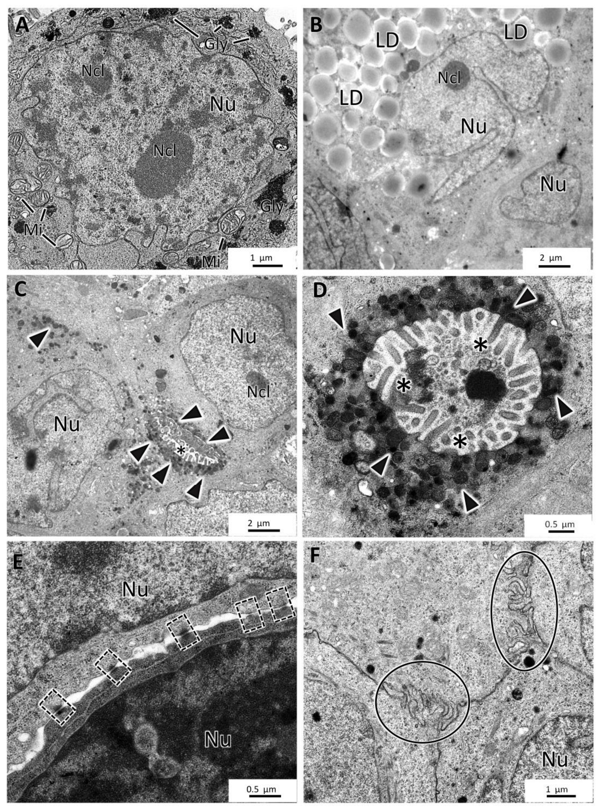 Toxics 10 00415 g006 Toxics 10 00415 g006