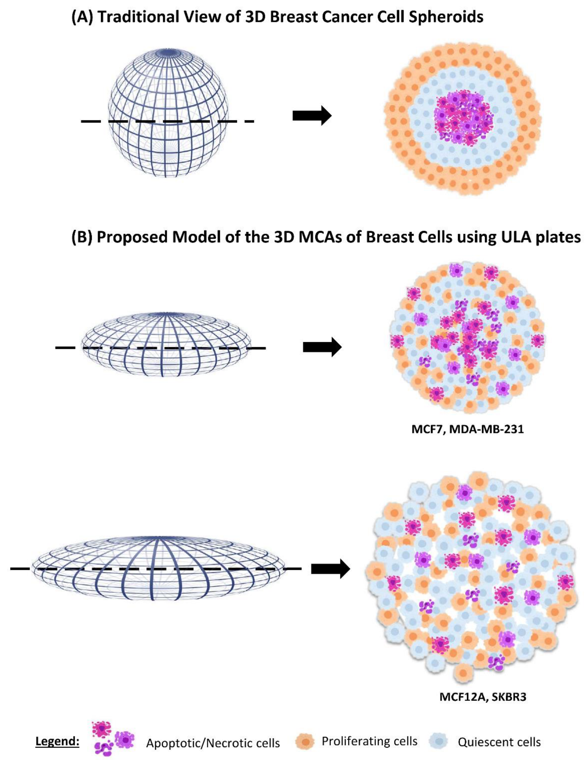 Toxics 10 00415 g010 Toxics 10 00415 g010