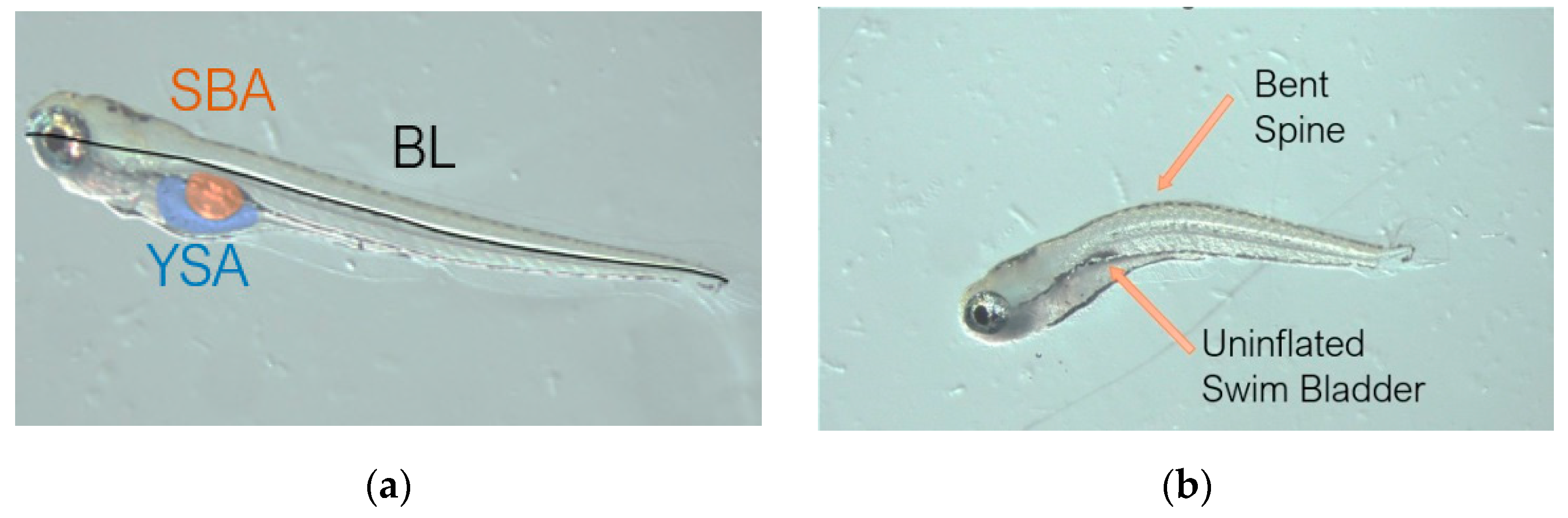 Toxics 10 00418 g001